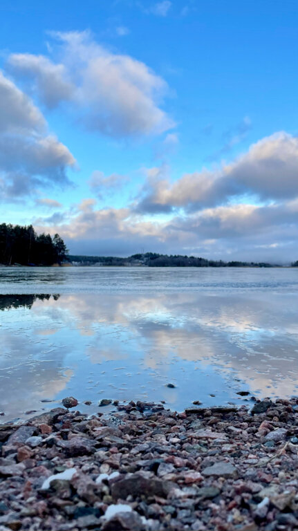 Фото Scandi home