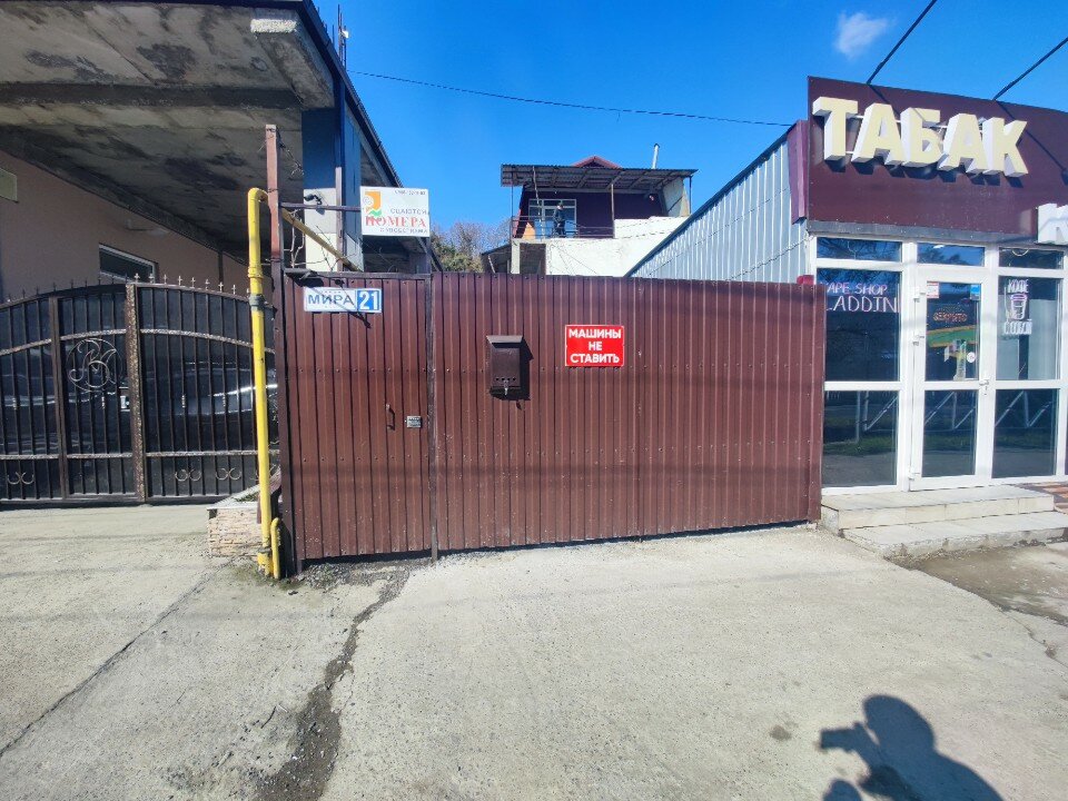 Фото Арабика