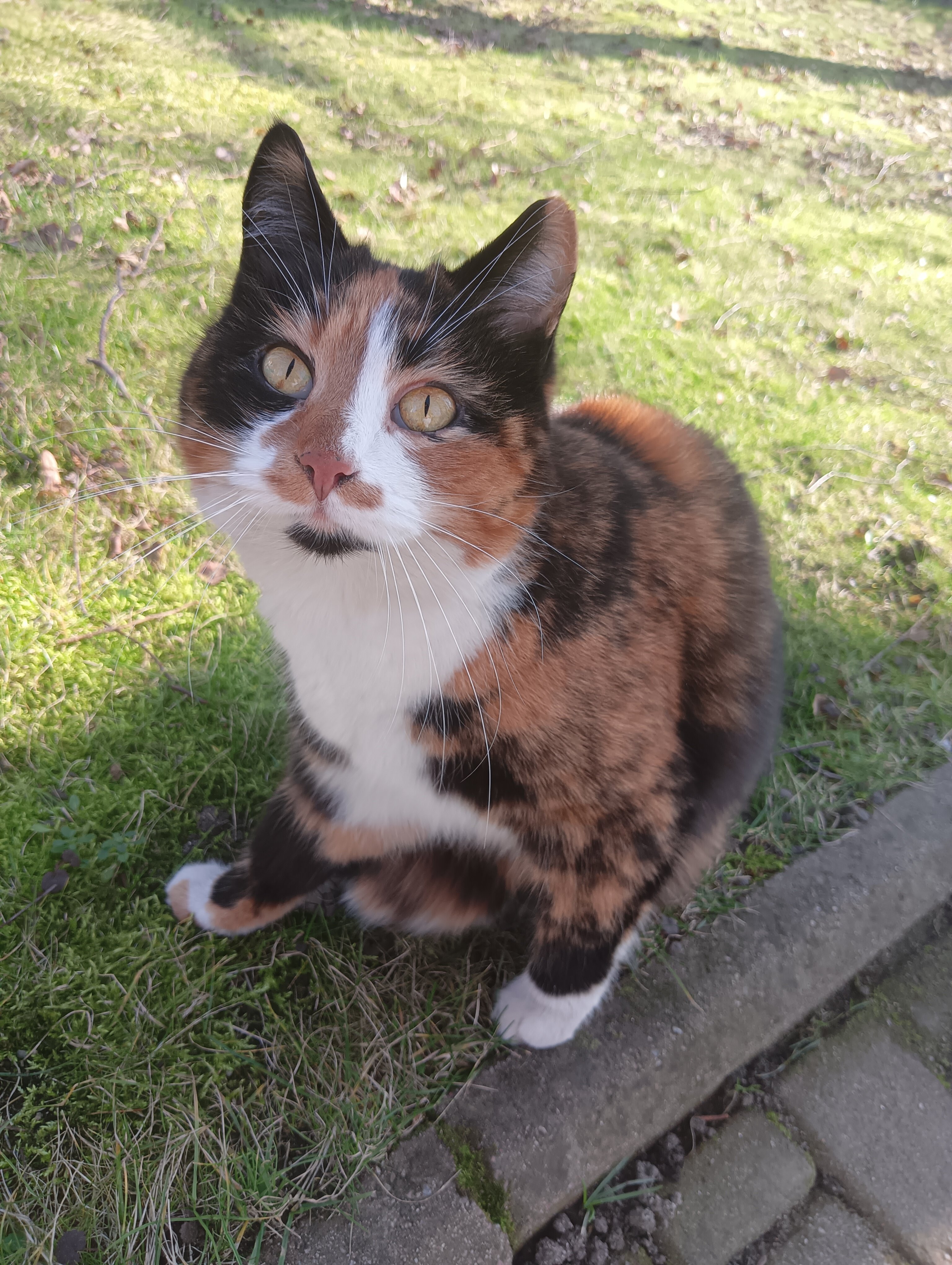 Фото Скворечник