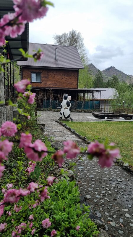 Усадьба Алтын Торбок — фото 42