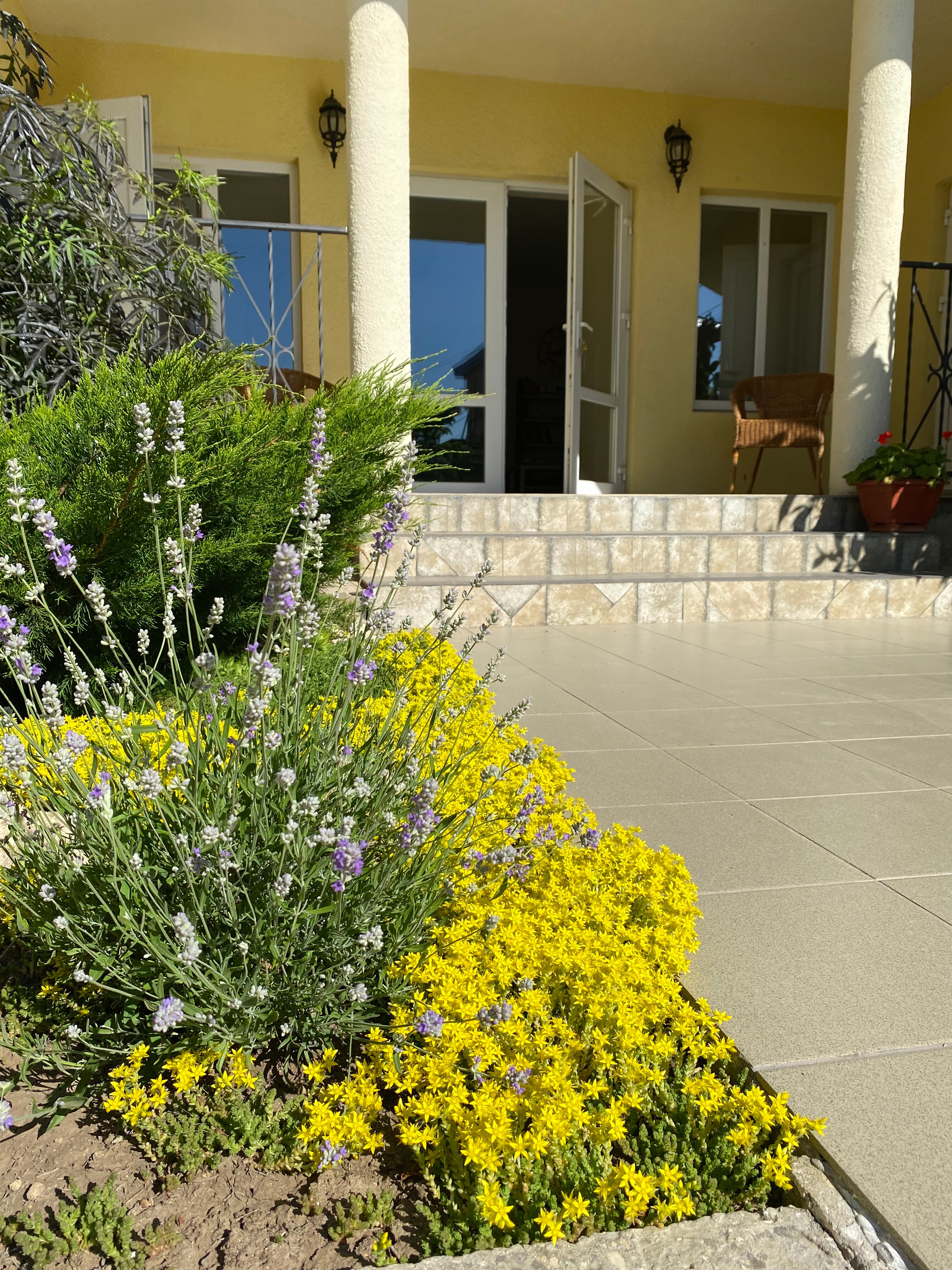 Фото Вилла Сиеста