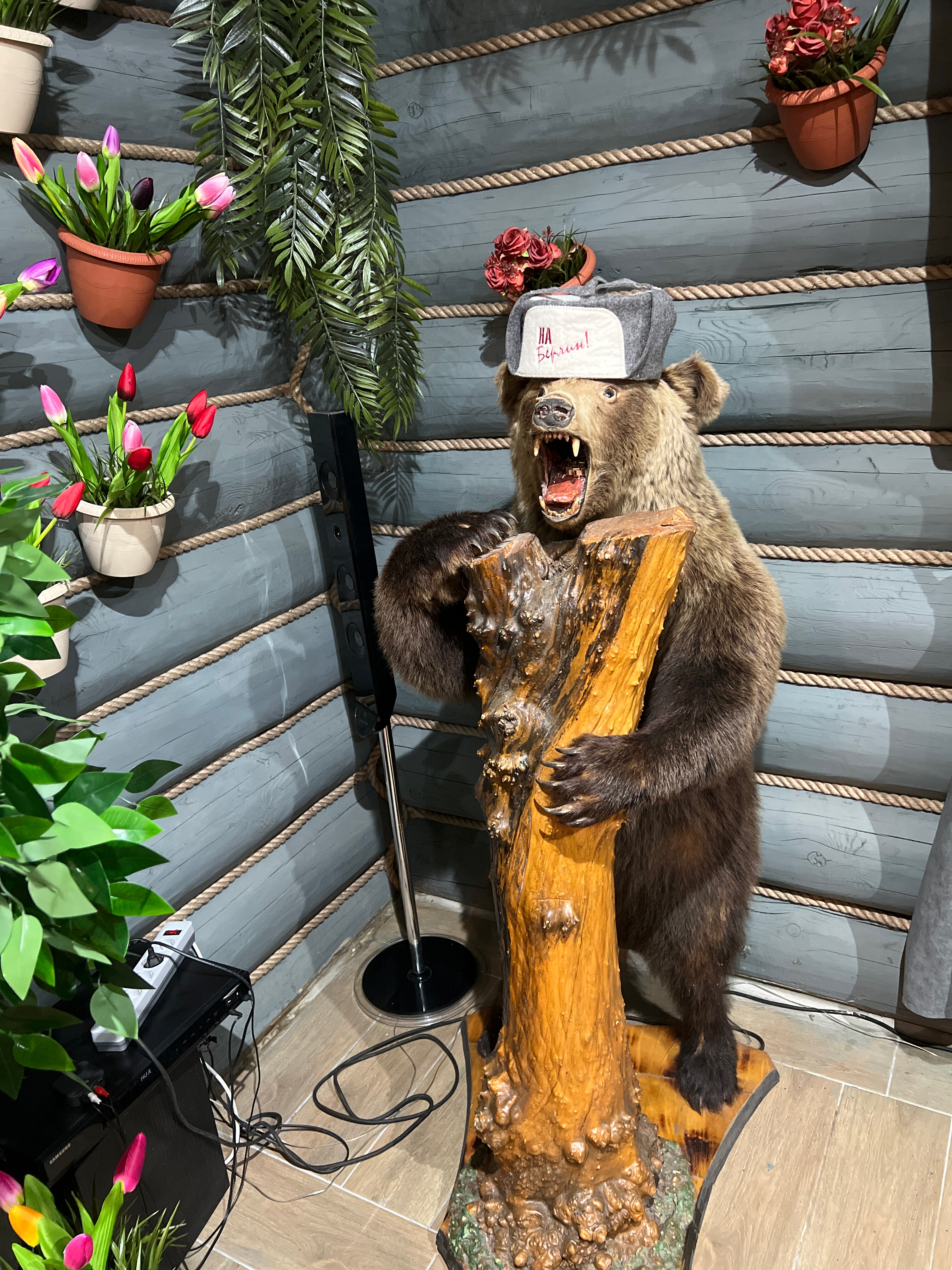 Фото Пайн Резортс