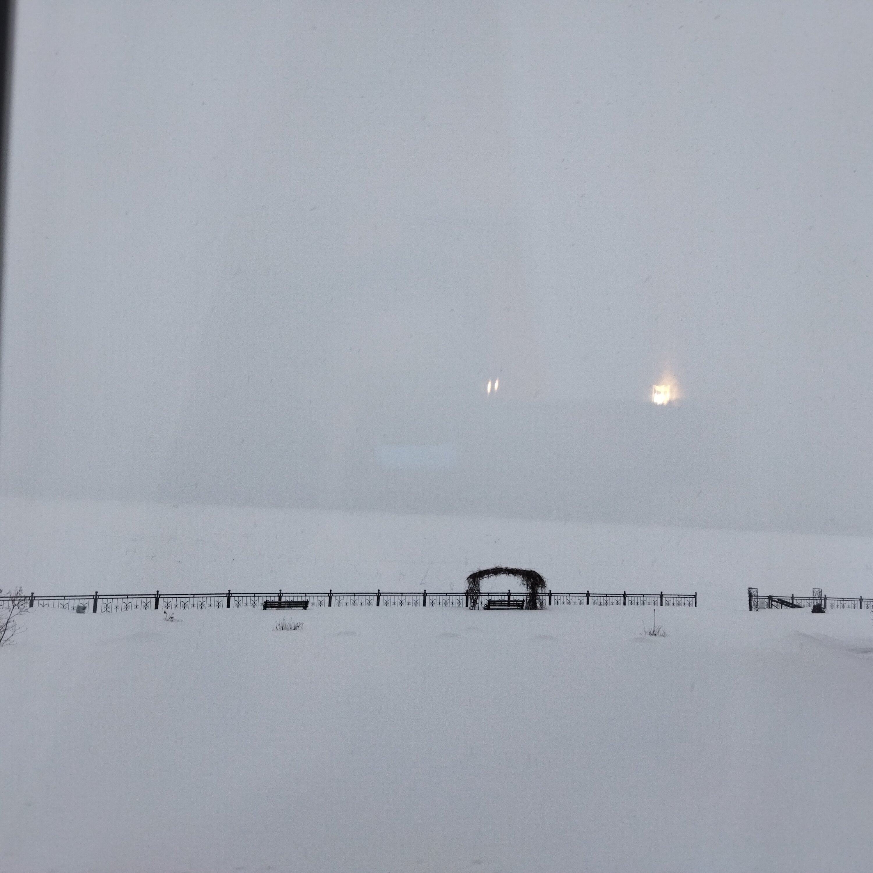 Фото Жемчужина