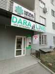 Dara Line (Aksai-1 microdistrict, 11/10), centro de desarrollo infantil