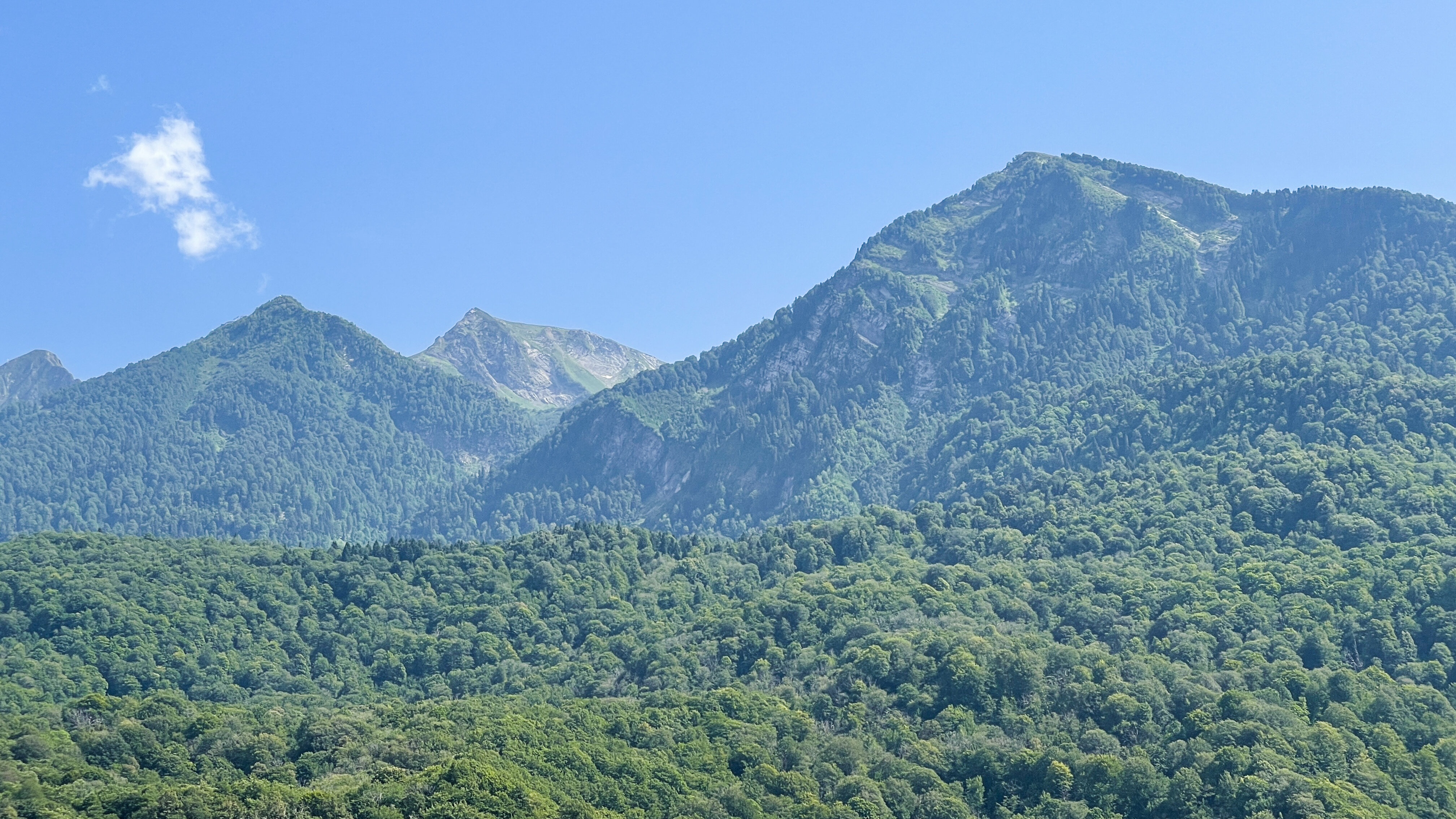 Фото Апарт 64