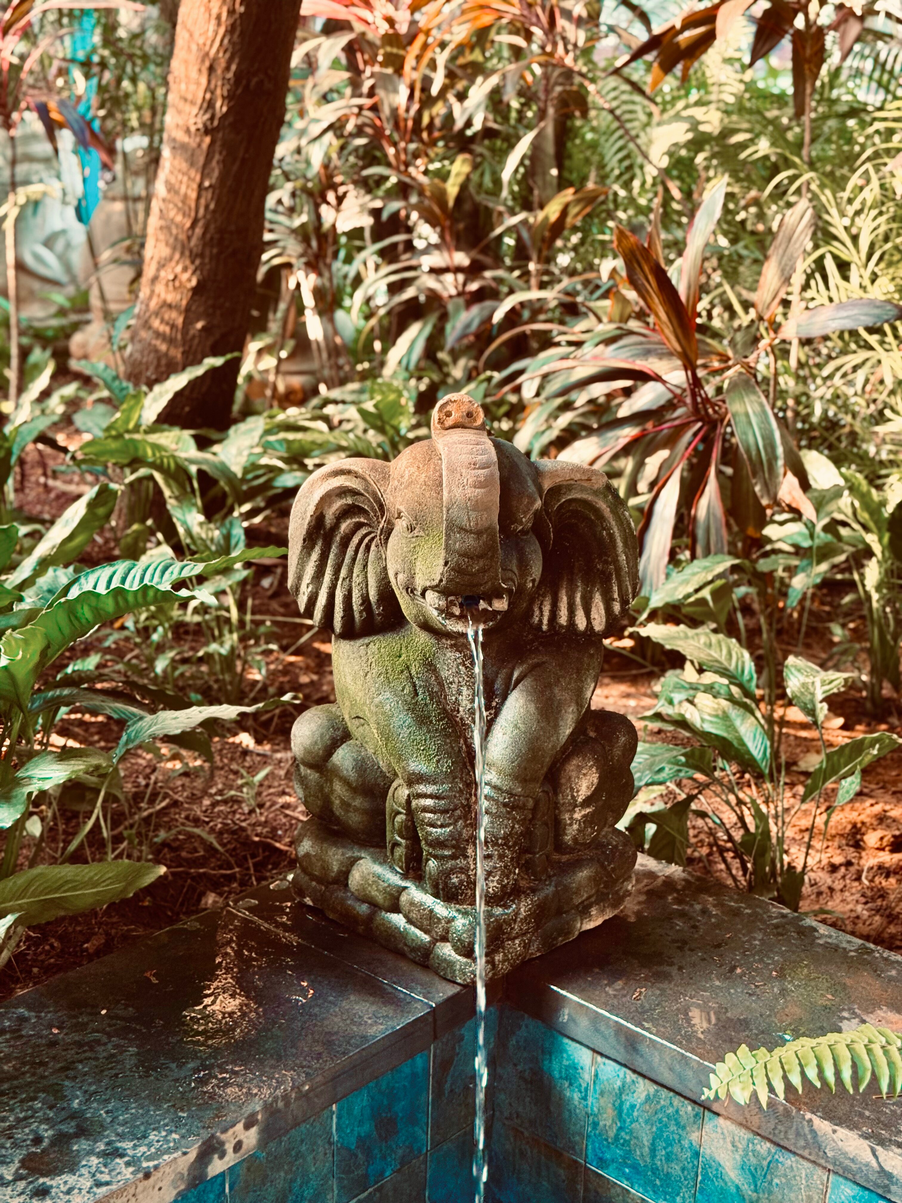 Фото Beleza by the Beach