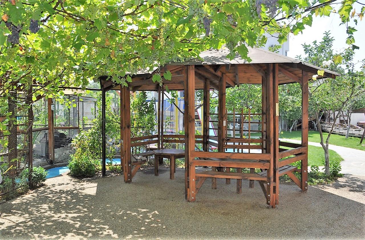 Фото Седьмое небо