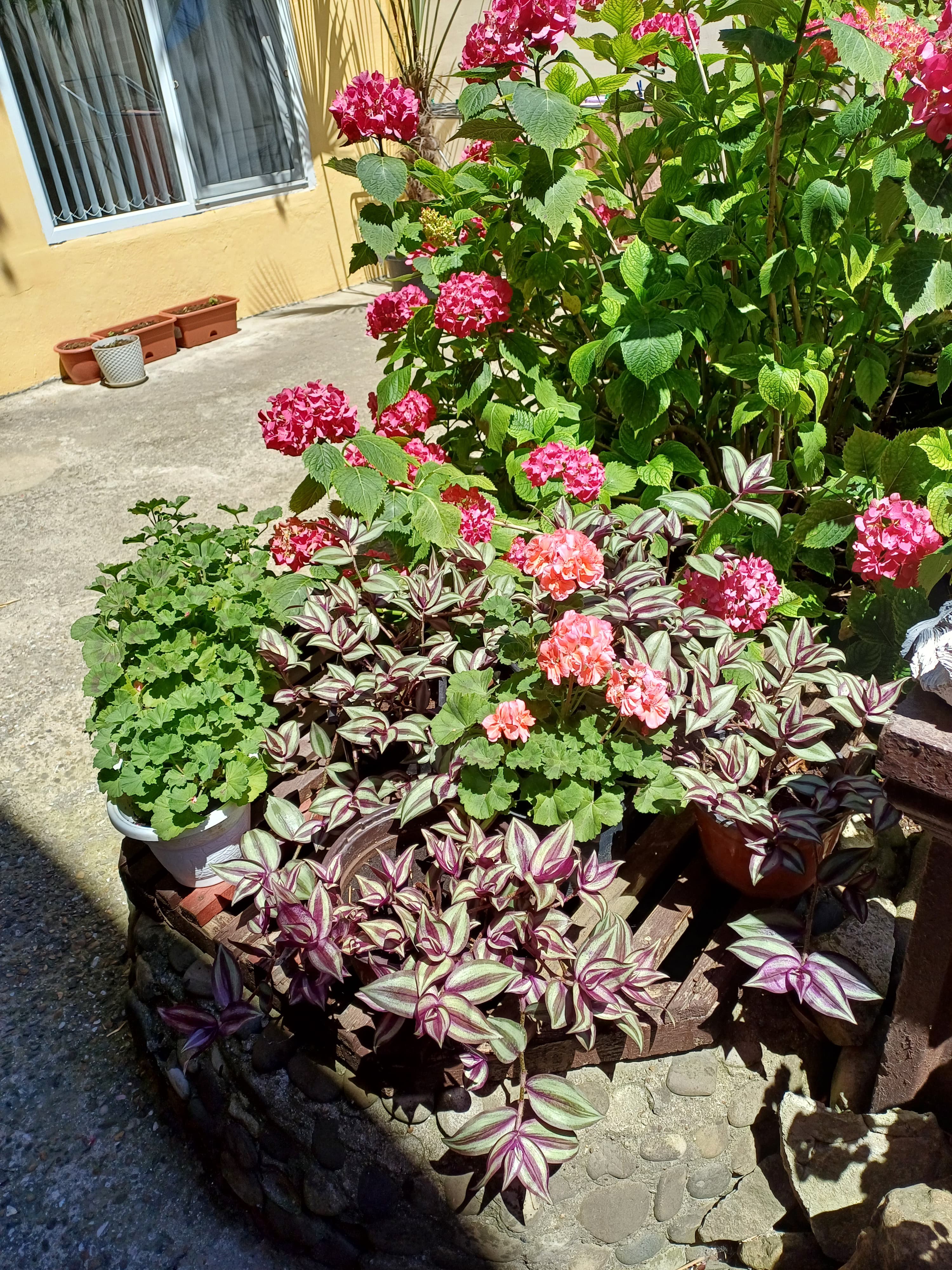 Фото Бамбуковая Роща