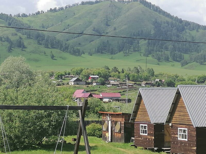 Золотая пчела — фото 28