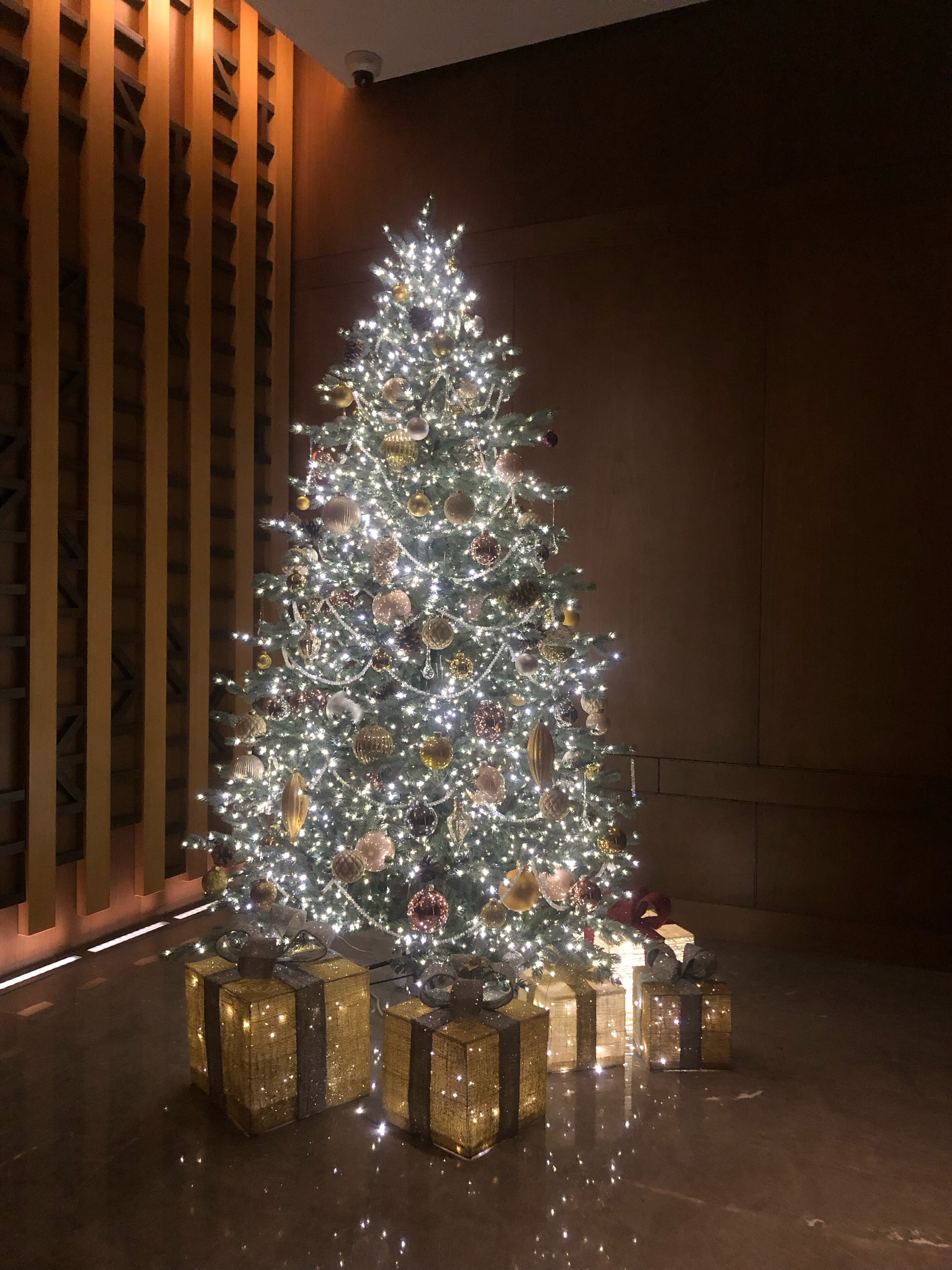 Фото Хаятт Ридженси Ташкент