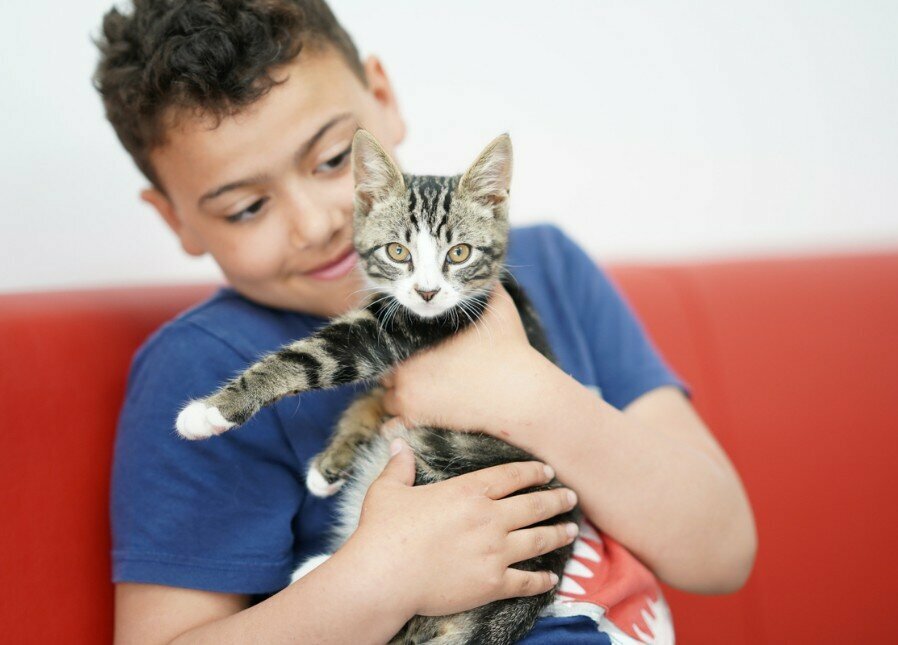 Veterinary clinic Molesey Veterinary Centre, Dubai, photo