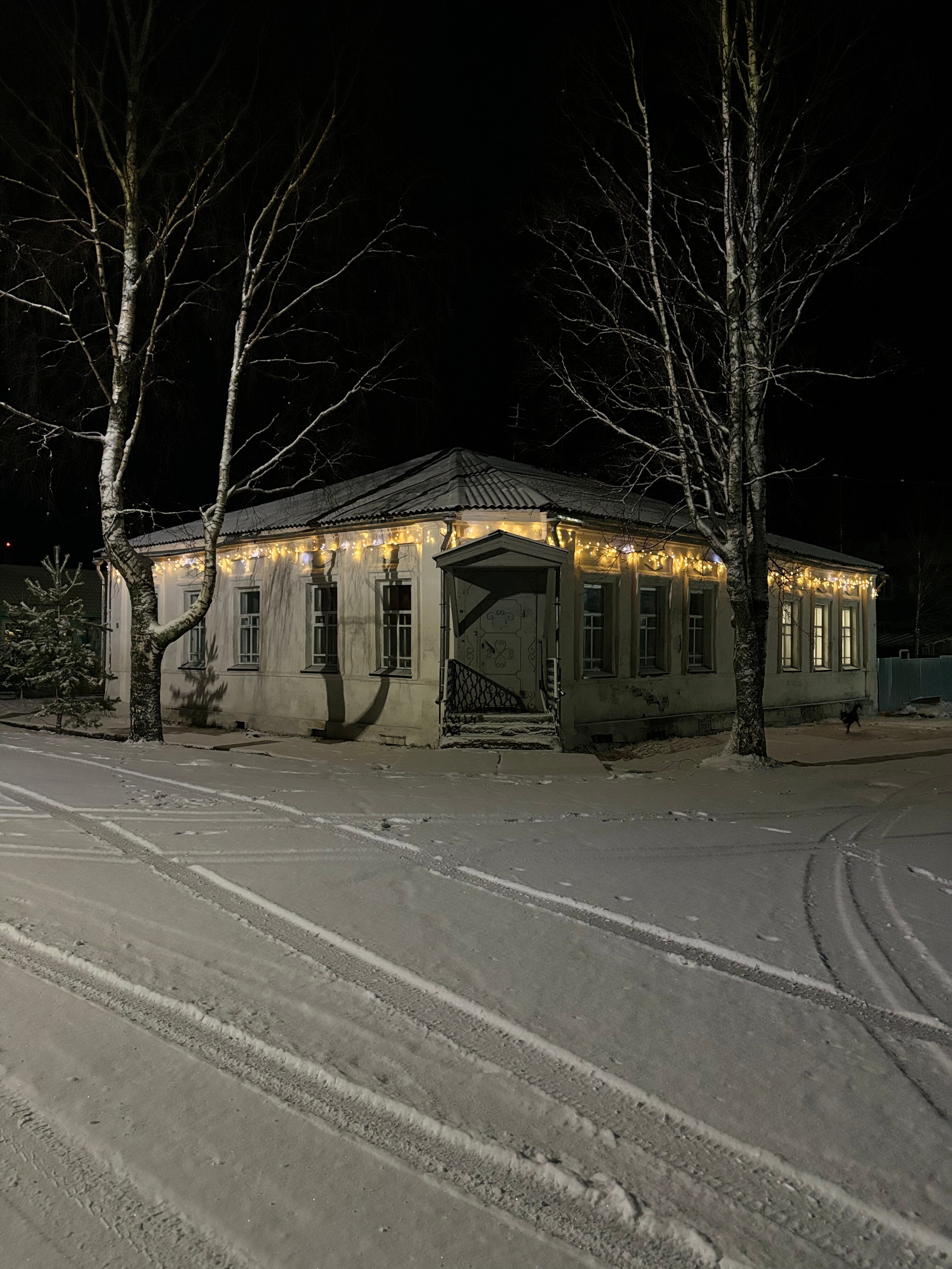 Фото Морошка