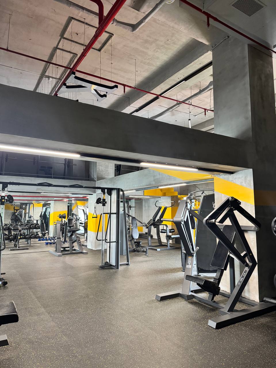 Фото Green World