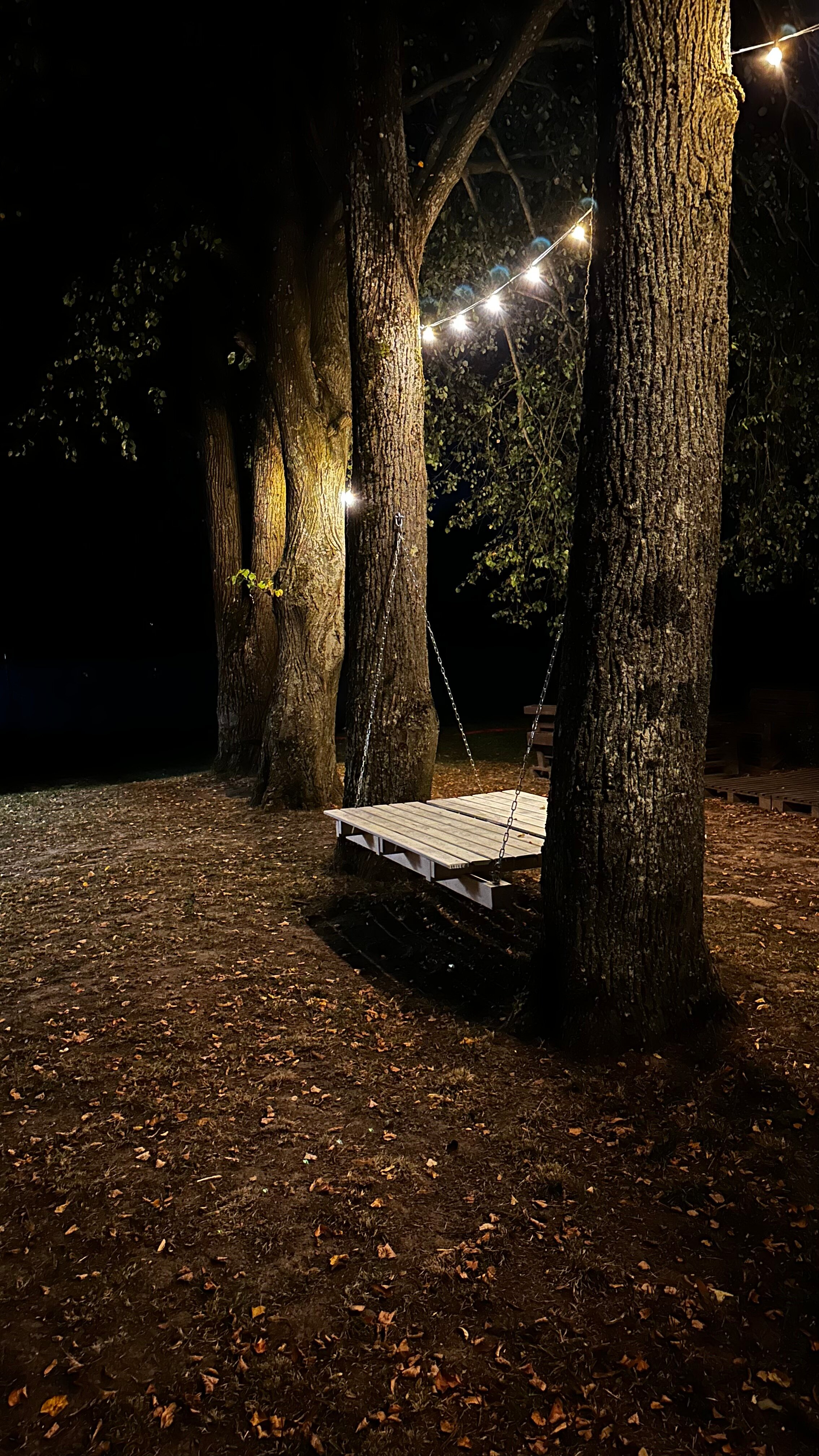 Фото Романовъ home