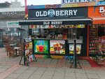 Old Berry (Bursa, Osmangazi District, Sehrekustu Neighborhood, 3rd Side Street) ، مثلجات