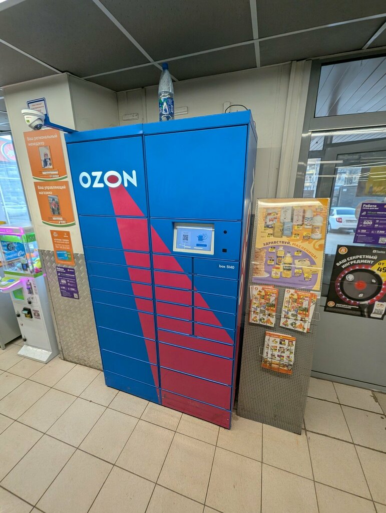 Parcel automat Ozon, Lubercy, photo
