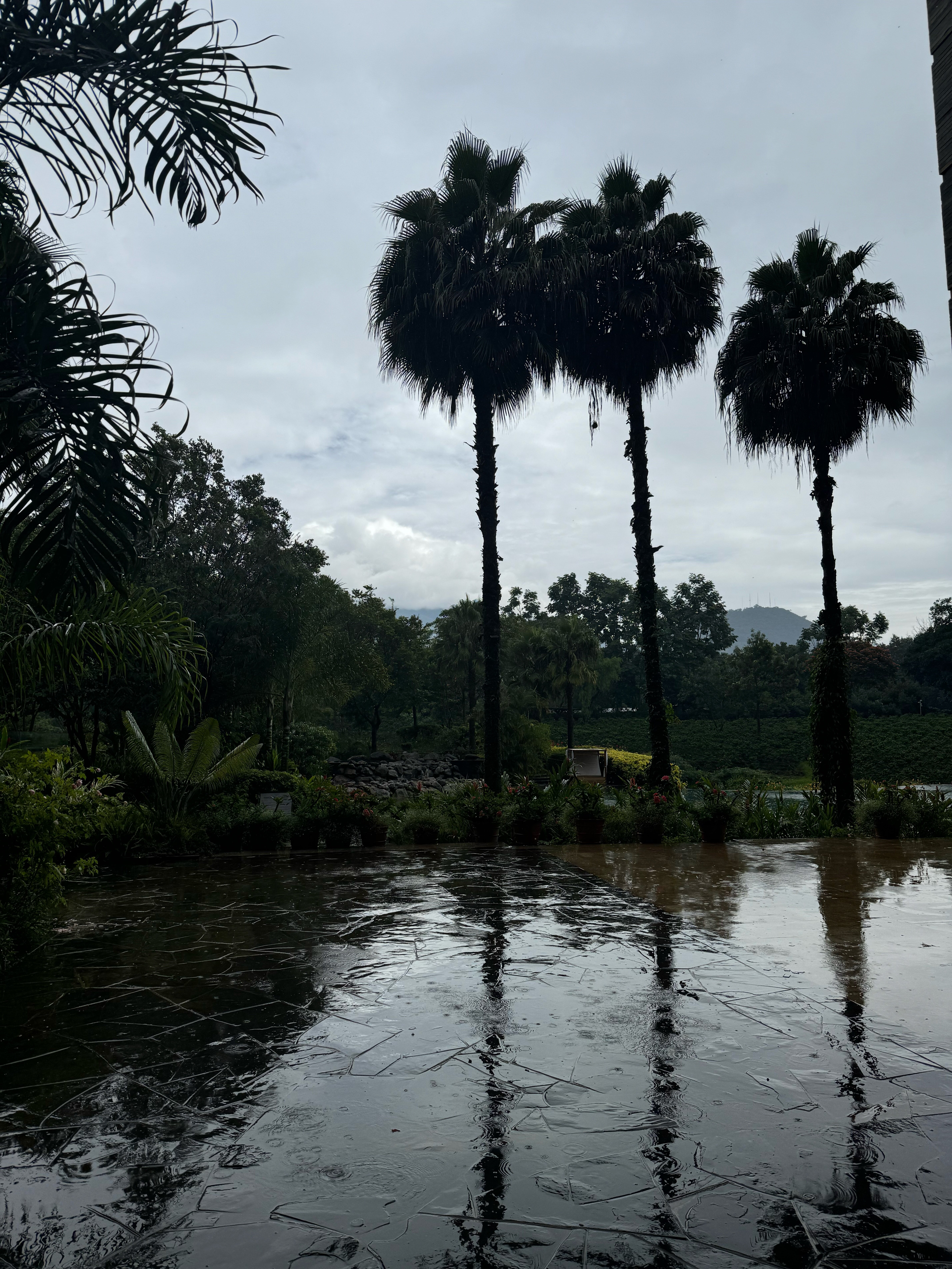 Фото Gran Melia Arusha