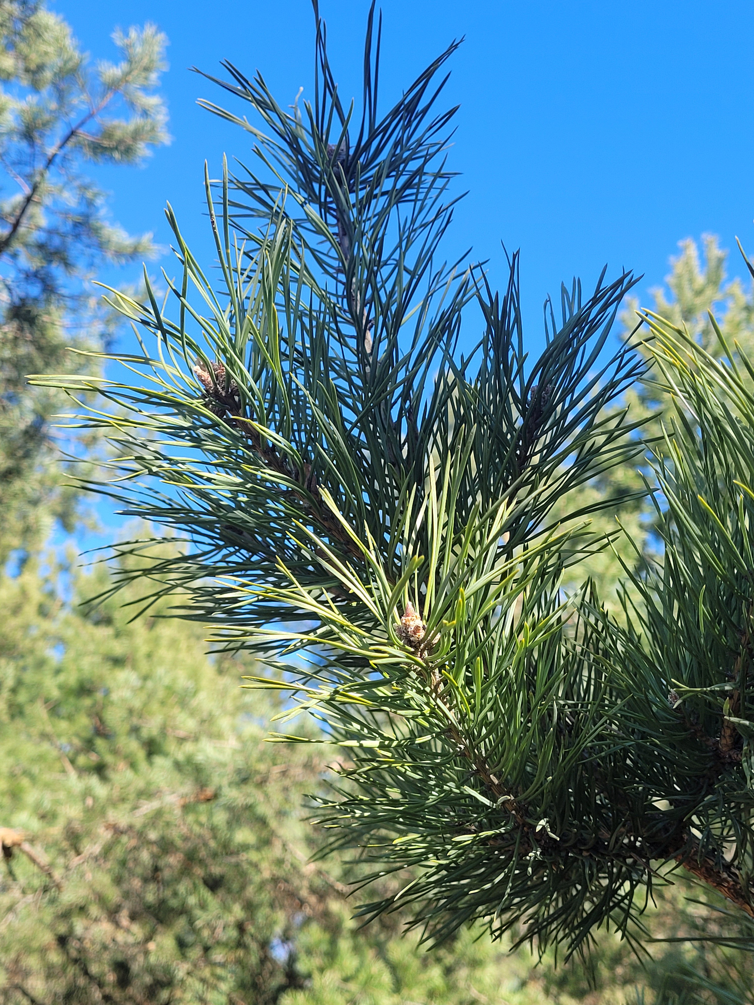 Фото Мишкино