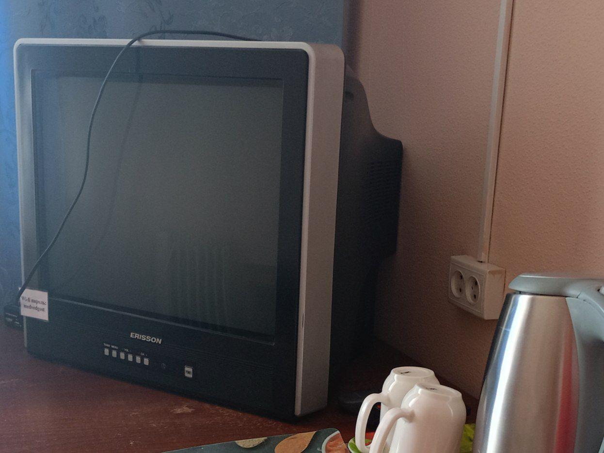 Фото Медведь