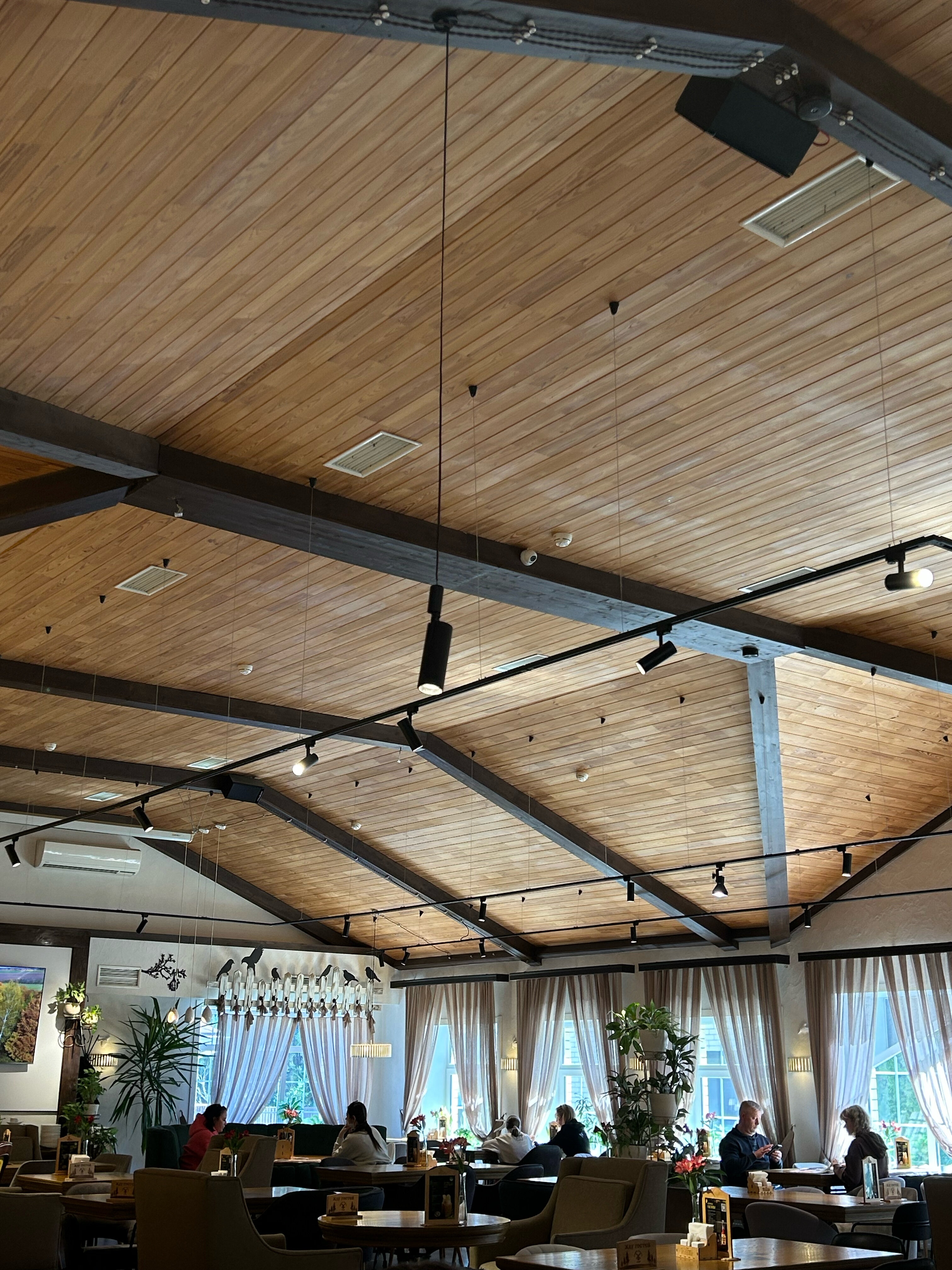 Фото Гнездо Хорошее место