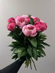 Дом цветов и декора (posyolok Pesochny, Leningradskaya ulitsa, 27), flower shop