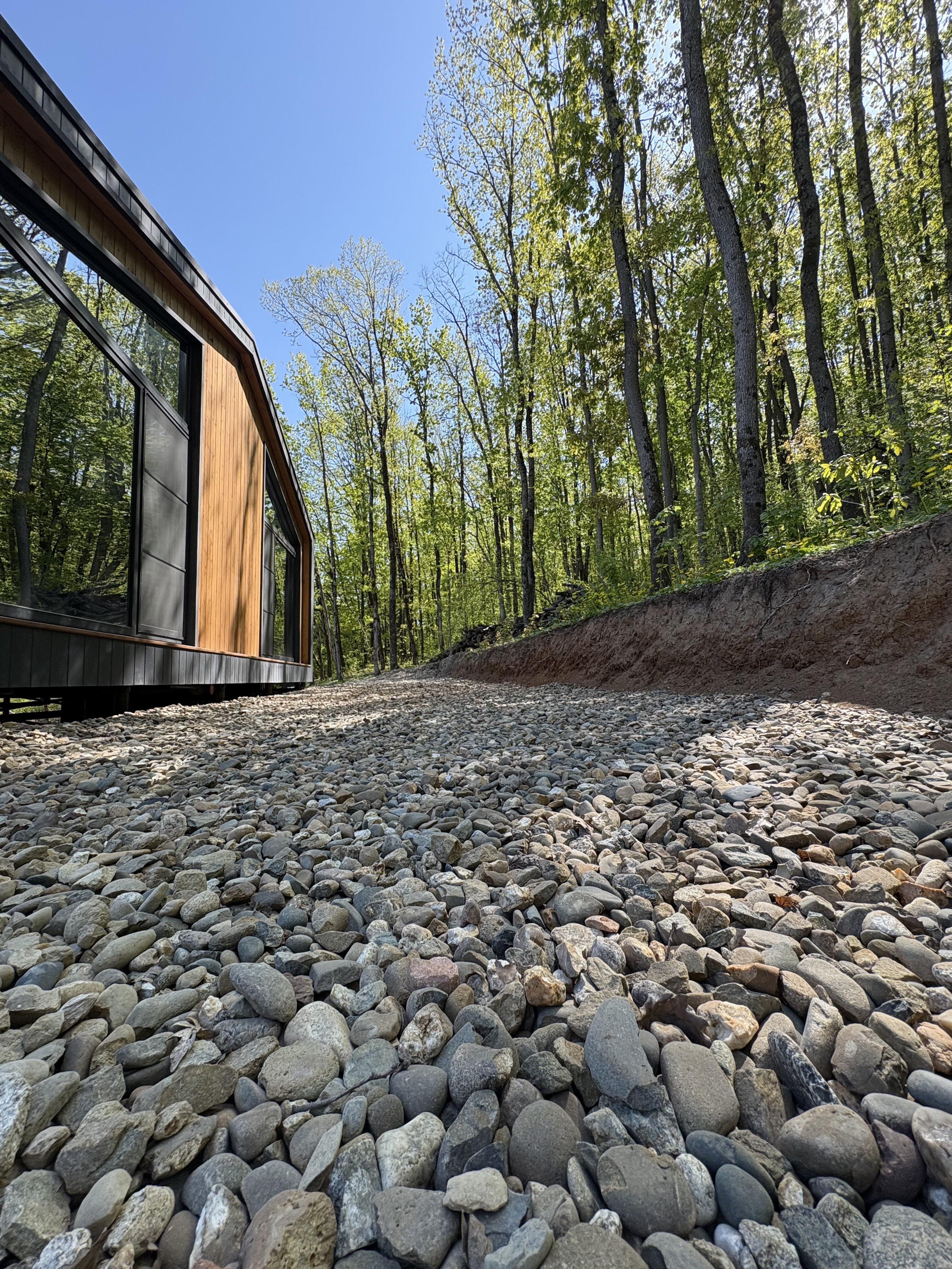 Фото Лес Азовская