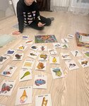 Звуковичок (Bryantseva Street, 18) ، اختصاصيو علاج النطق