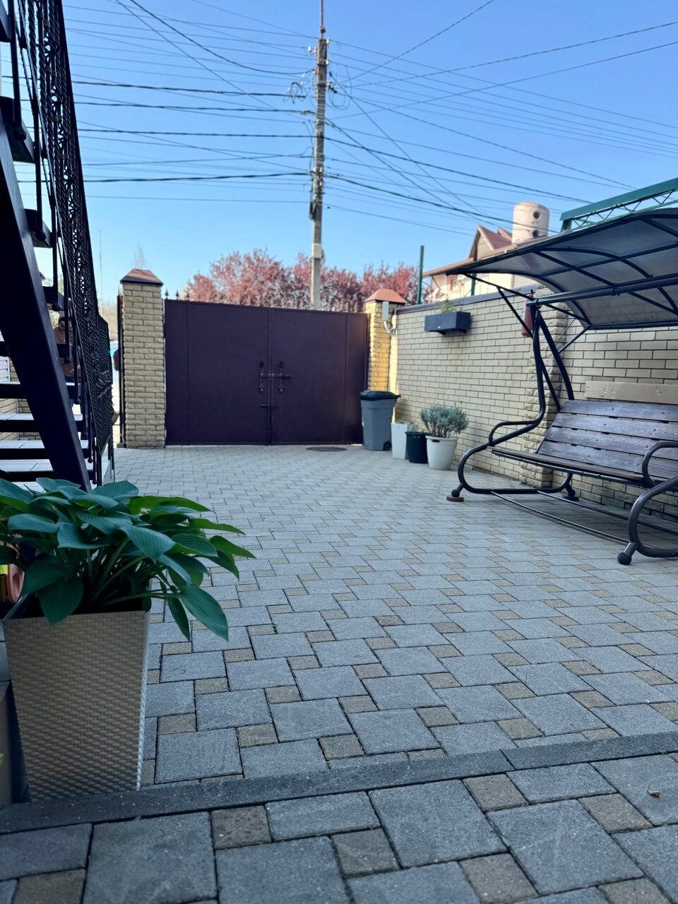 Фото Магнолия