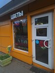 София (Kirova Street, 9А), flower shop