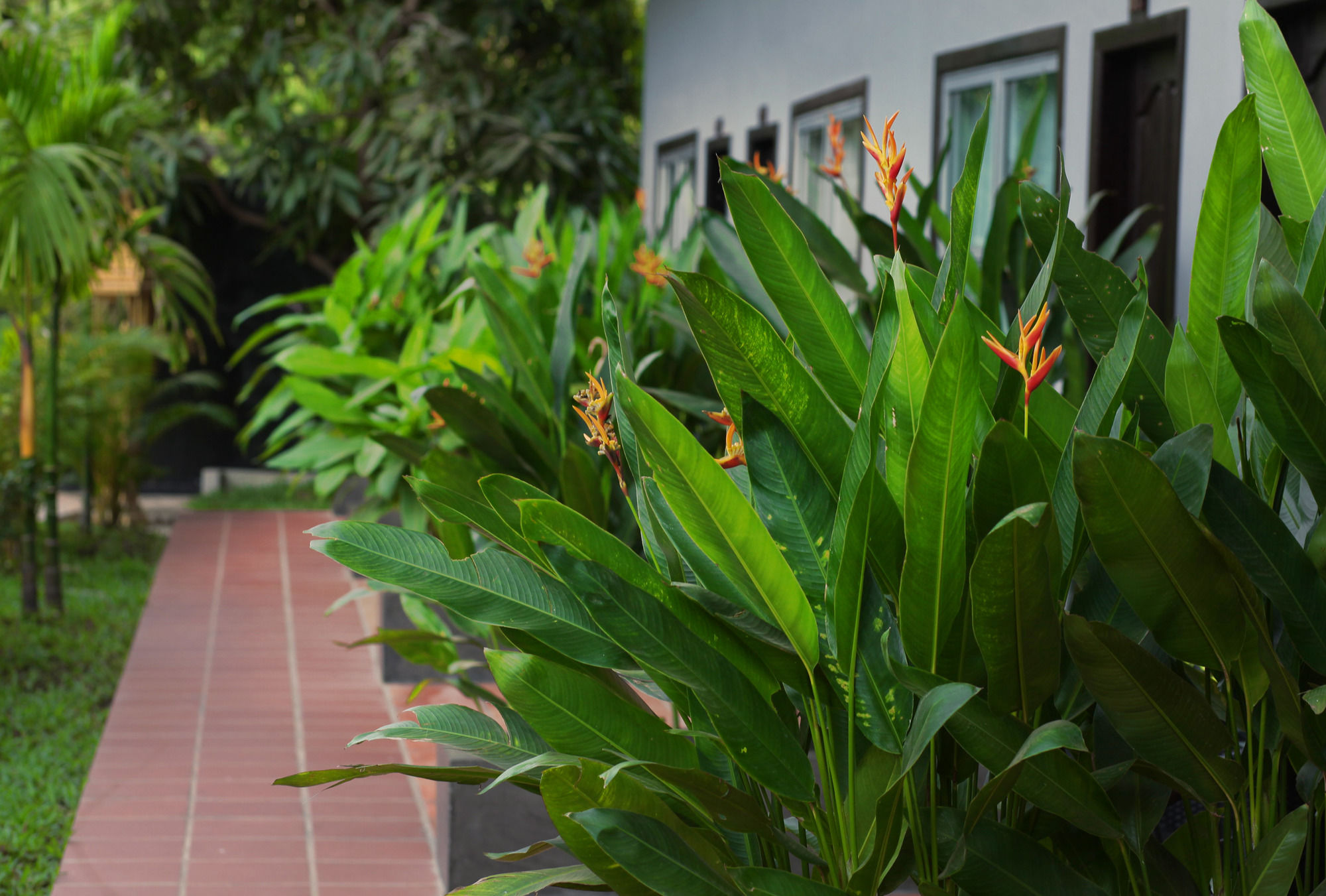 Фото Reveal Angkor Hotel