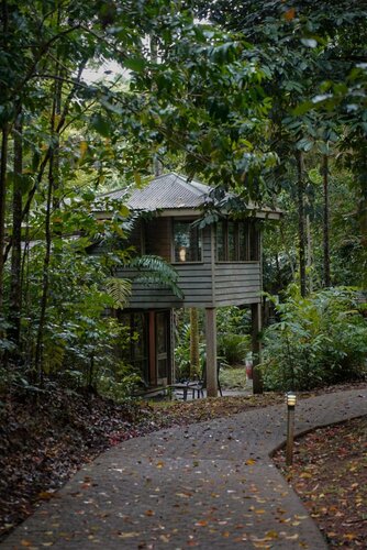 Гостиница Ferntree Rainforest Lodge