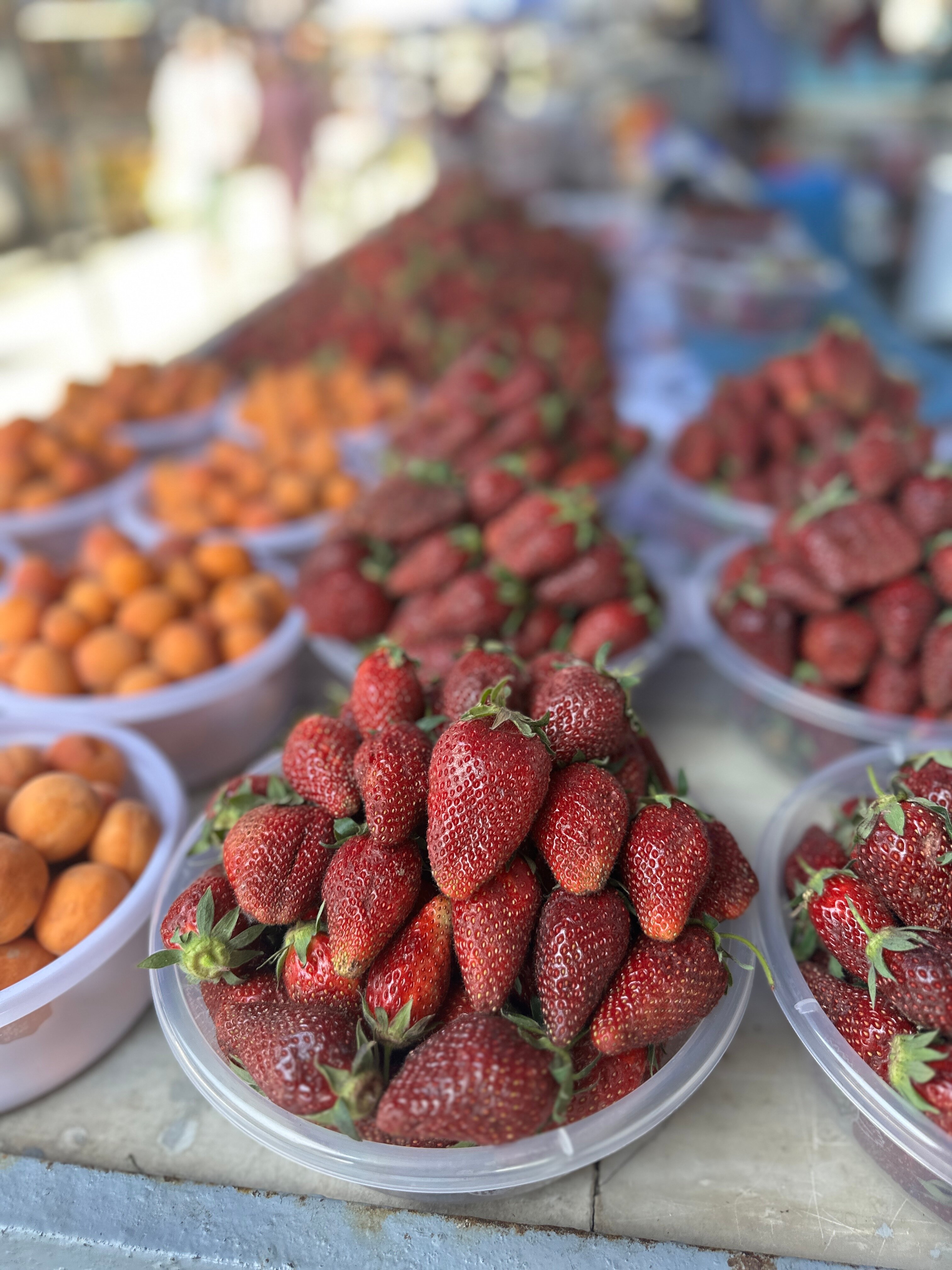 Фото Grand Fergana Hotel