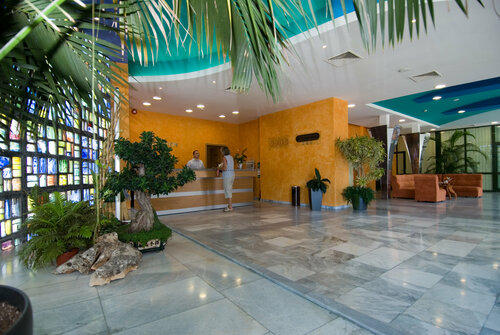 Гостиница Nessebar Beach Hotel в Солнечном Береге