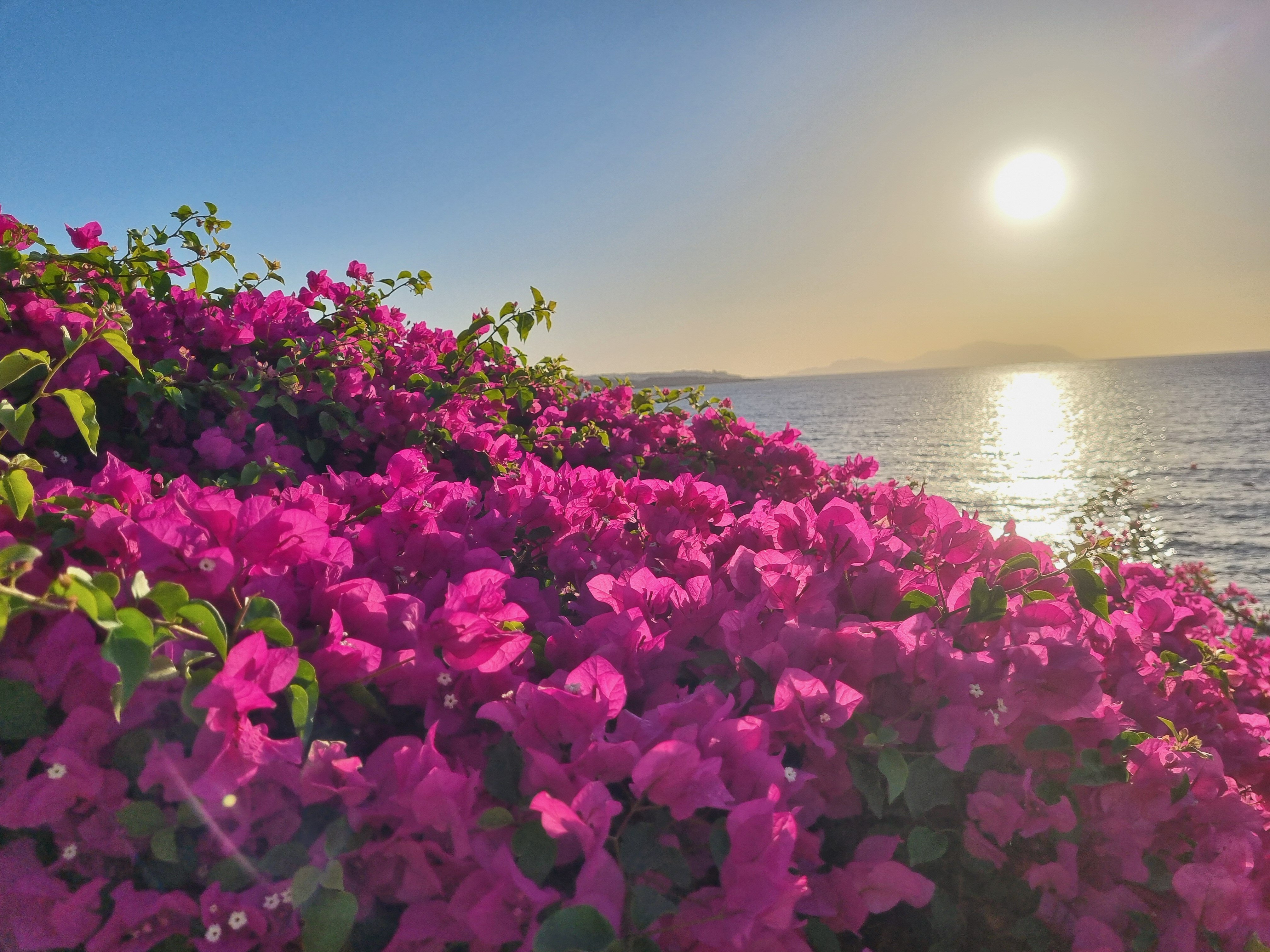 Фото Stella Di Mare Beach Hotel & Spa