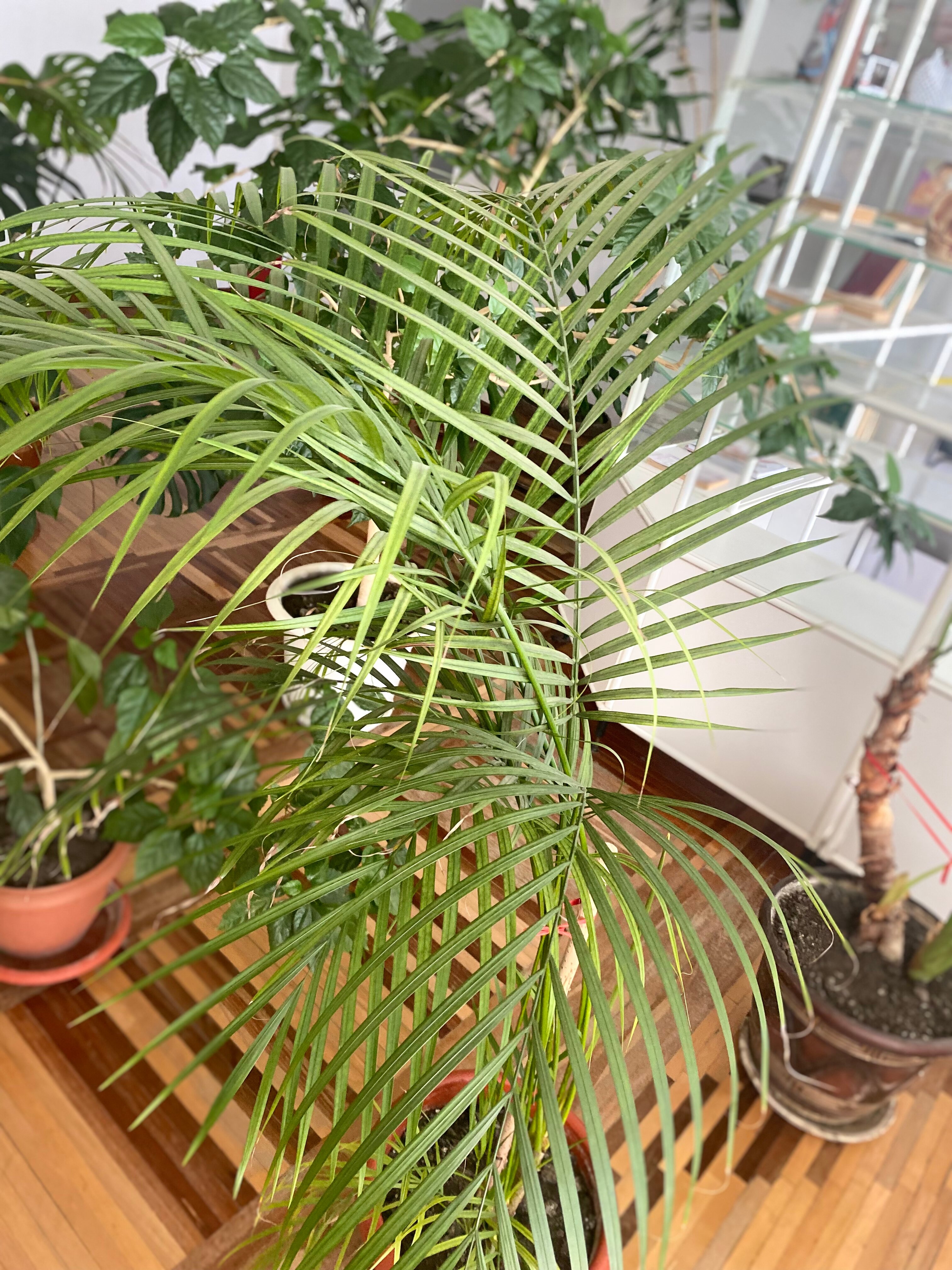 Фото Экстримтур