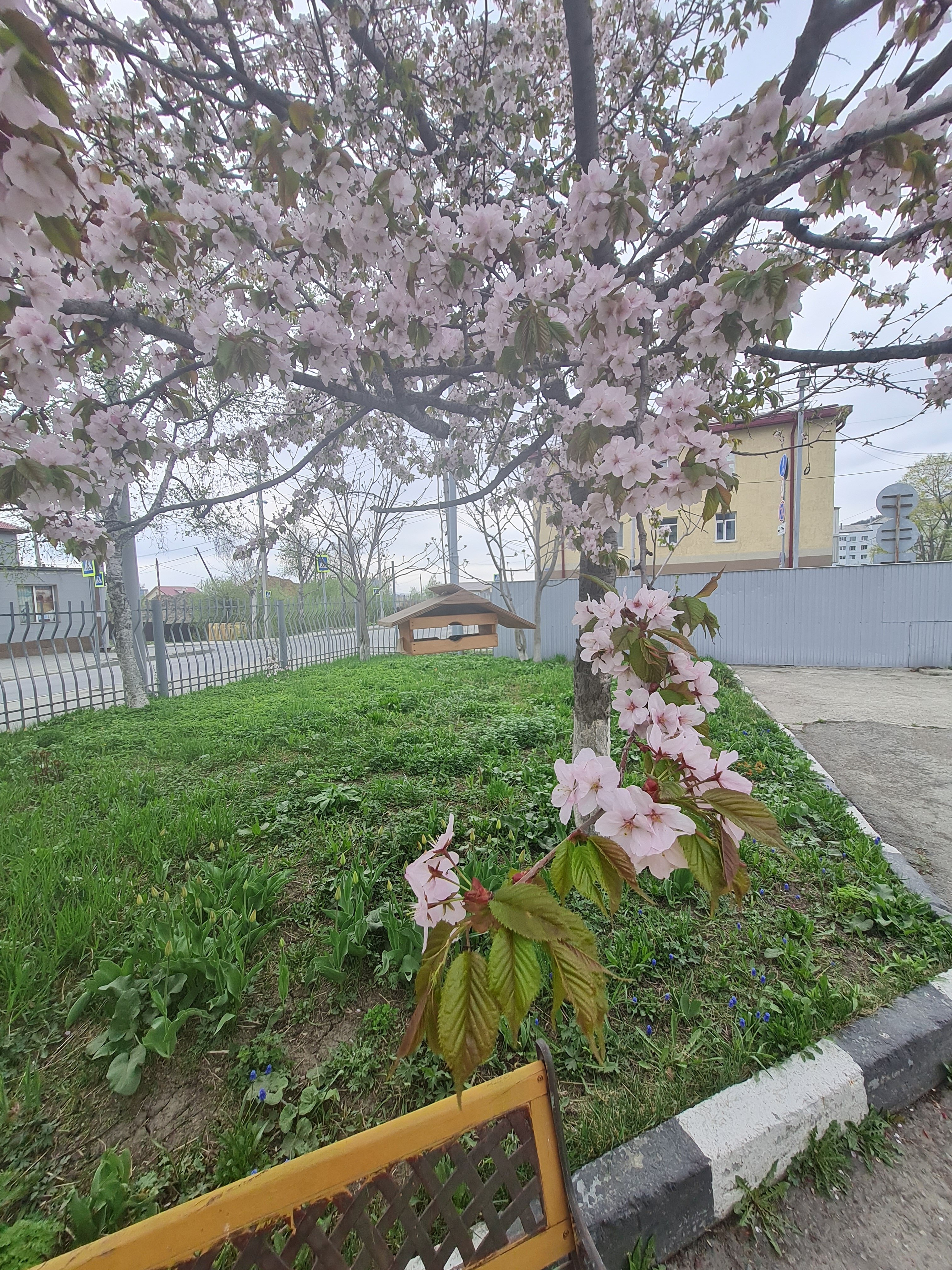 Фото Хостел123