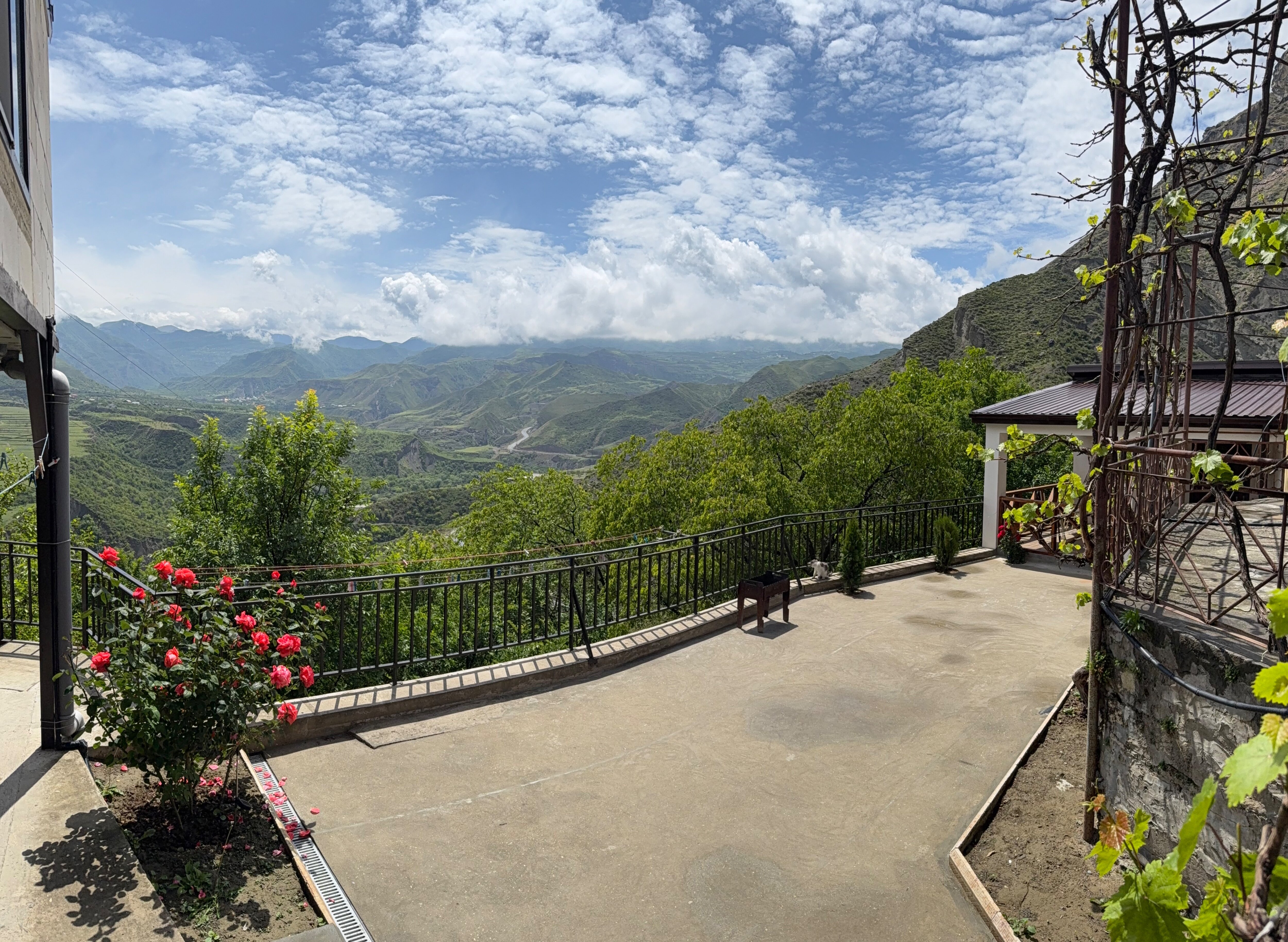 Фото Пение птиц