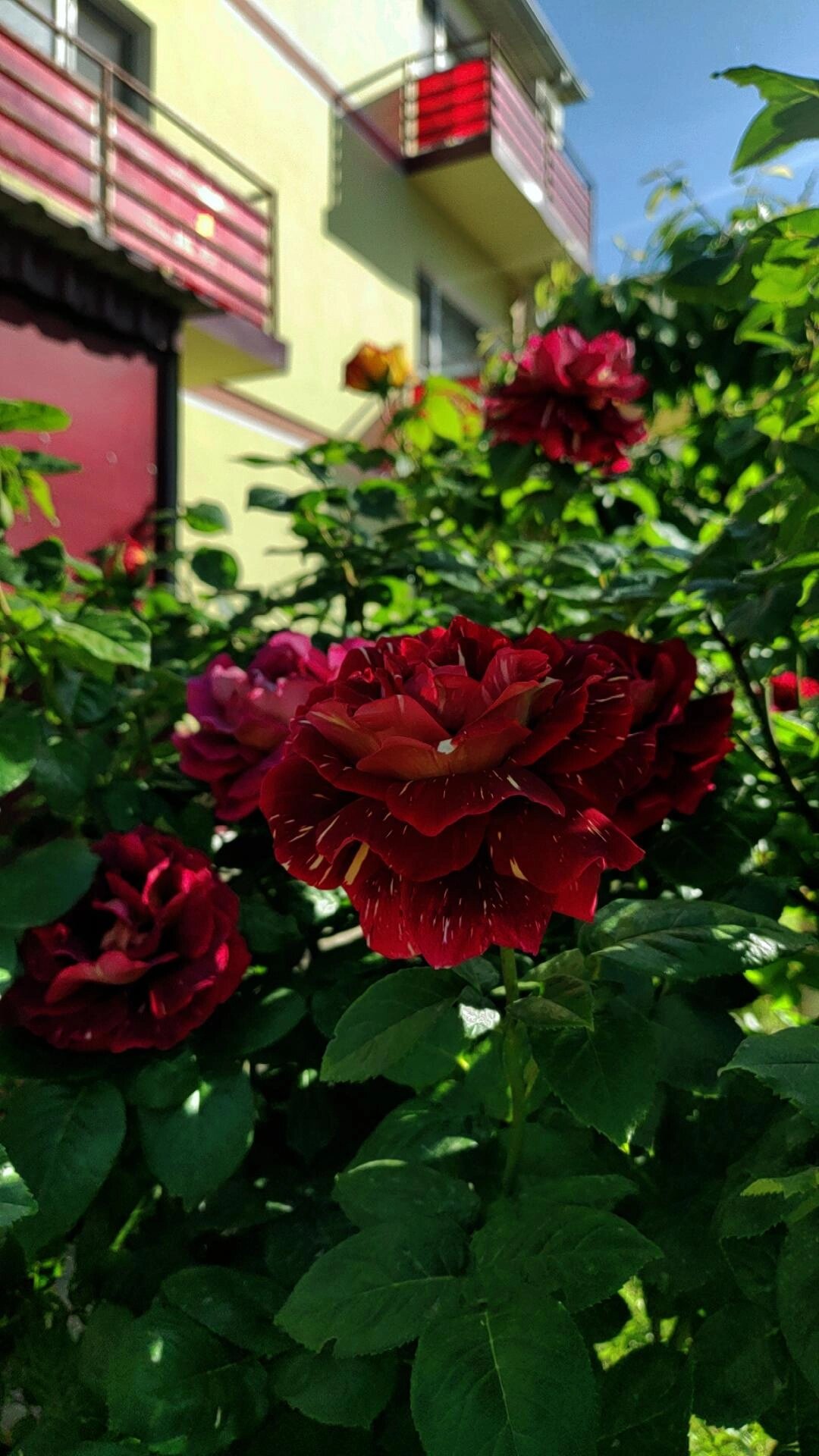 Фото отеля 3