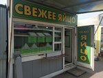 Киоск по продаже свежих яиц (Khakasskaya ulitsa, 59), egg and poultry meat