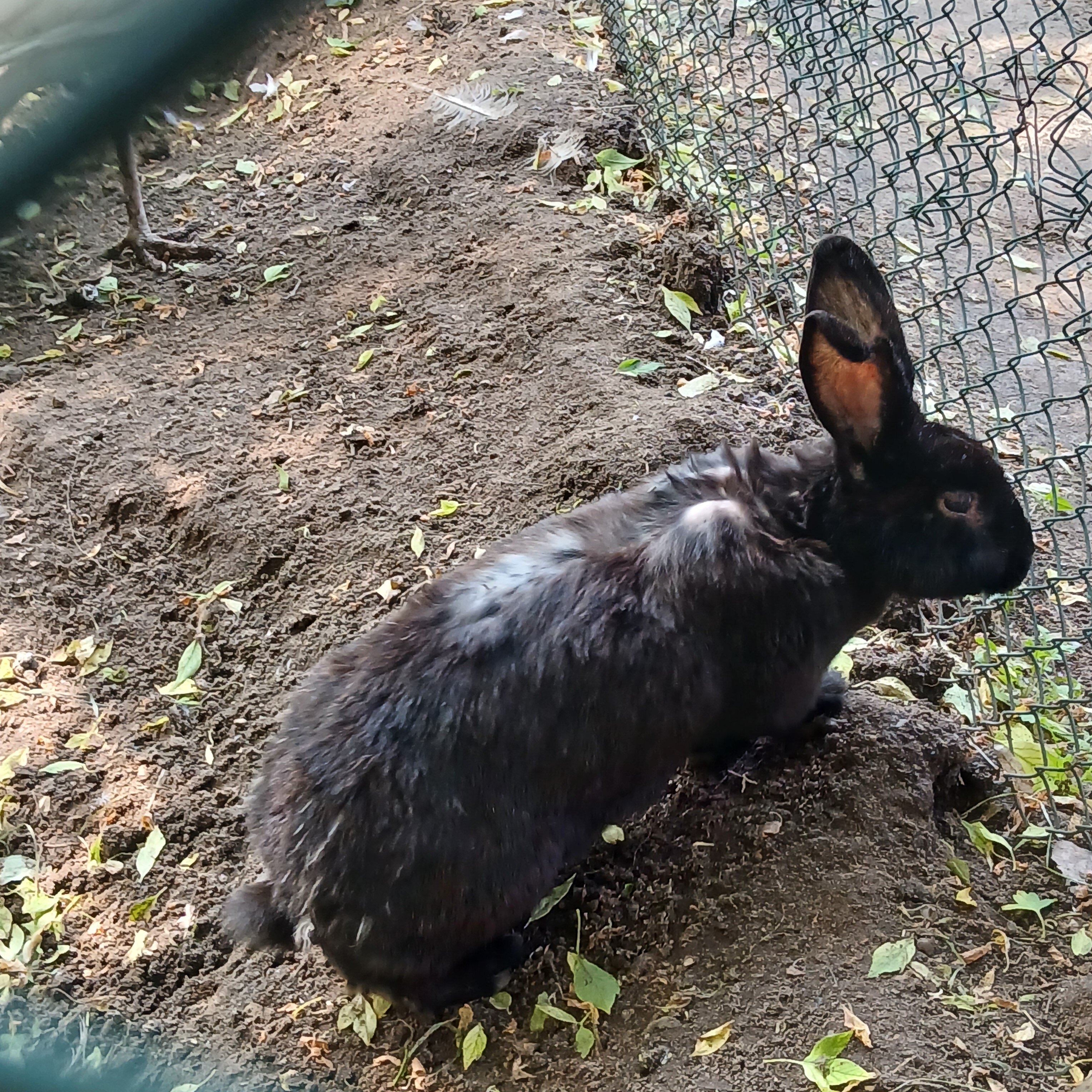 Фото Виктория Вилладж