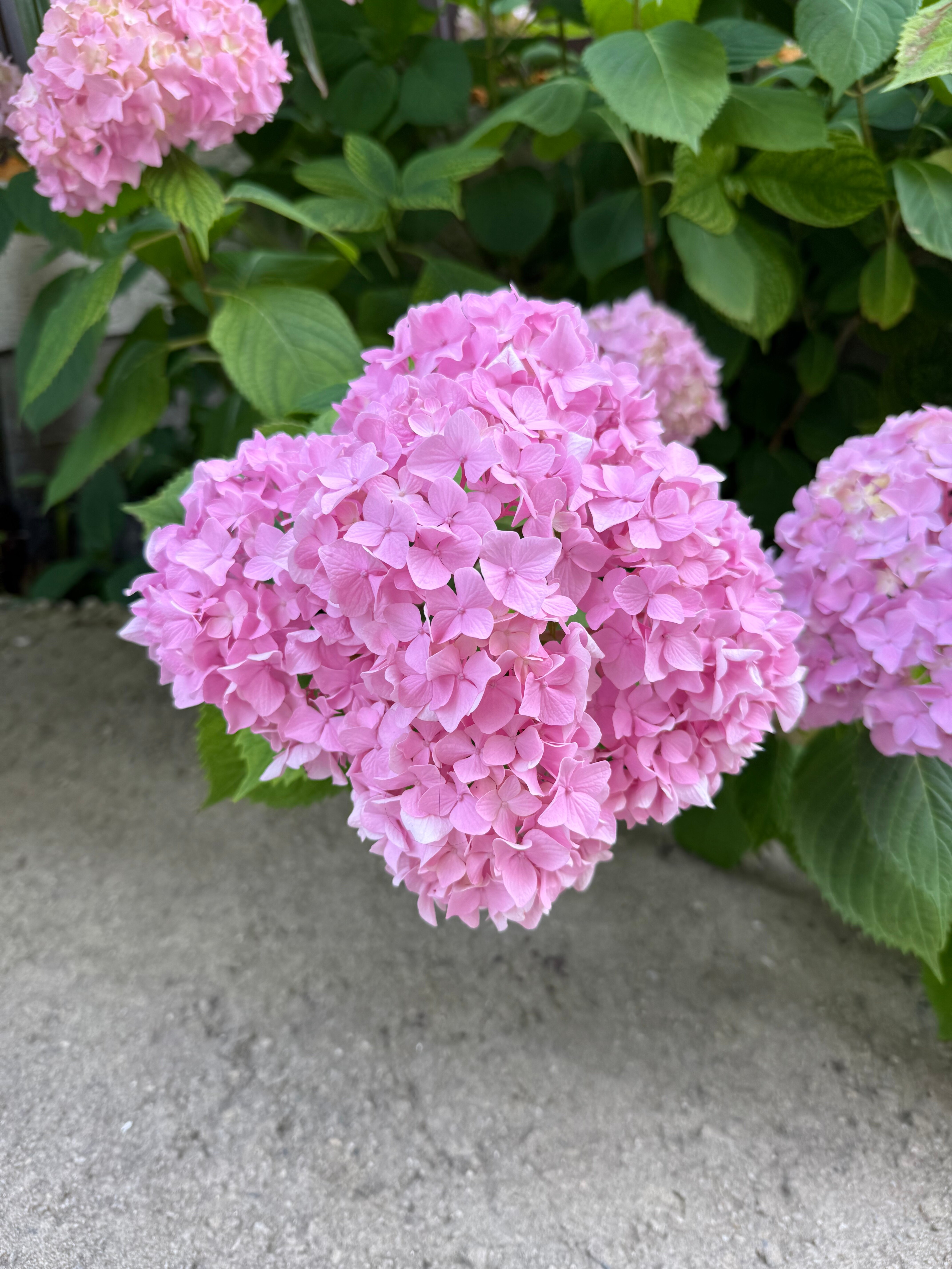 Фото Аква Лайф