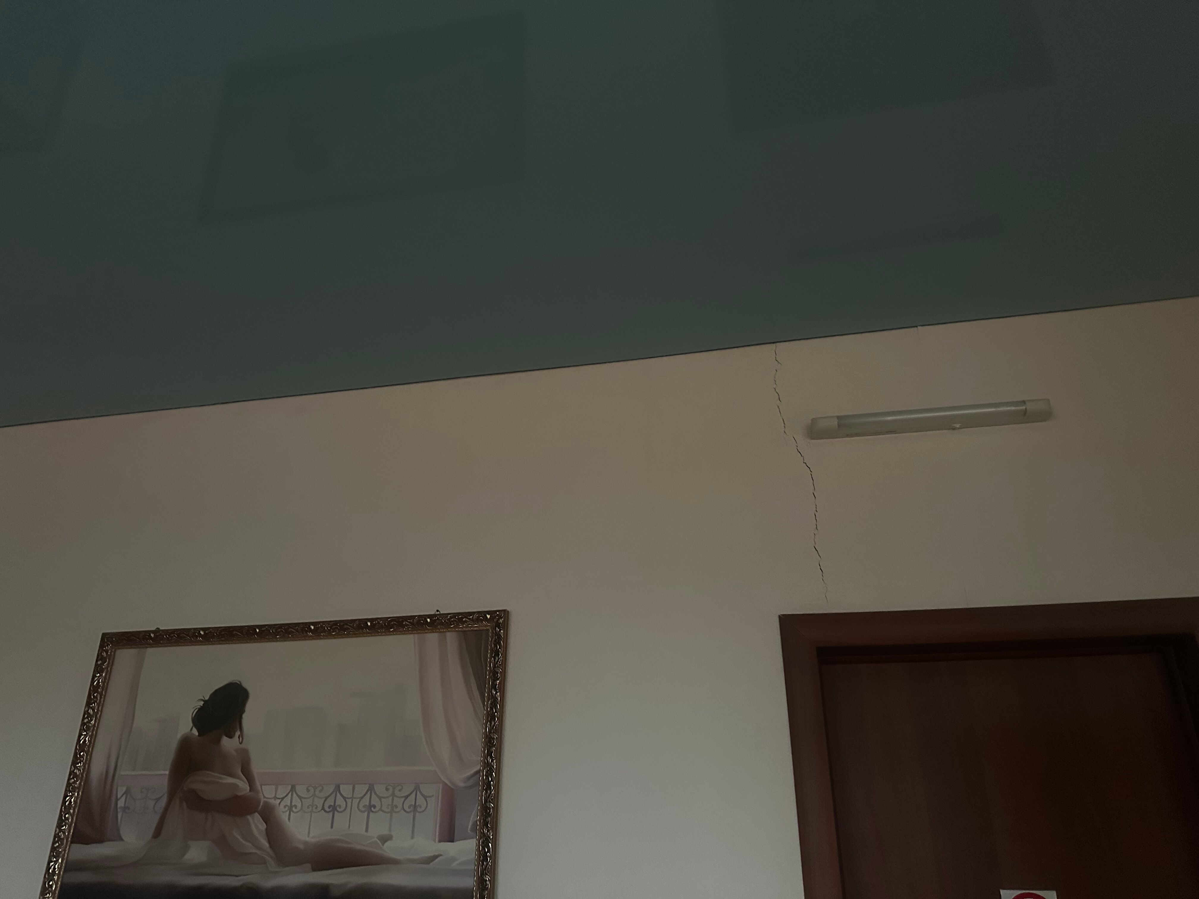 Фото Ковчег