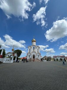 Растущий крест (Homieĺskaja voblasć, Zhytkavicki District, Vierasnicki Rural Council, Boriso-Gleb Cemetery) ، معلم جذب سياحي