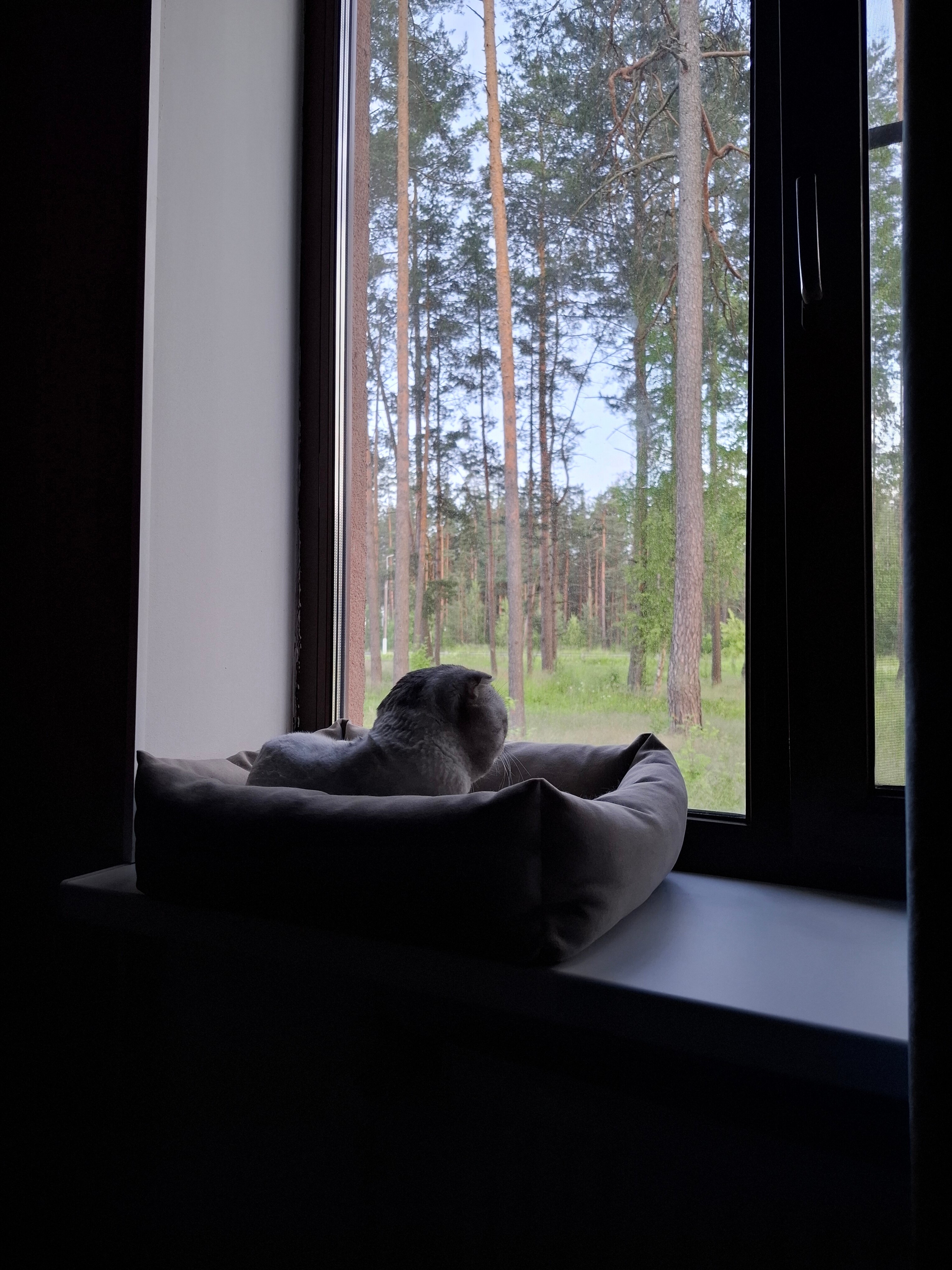 Фото Globus Hotel