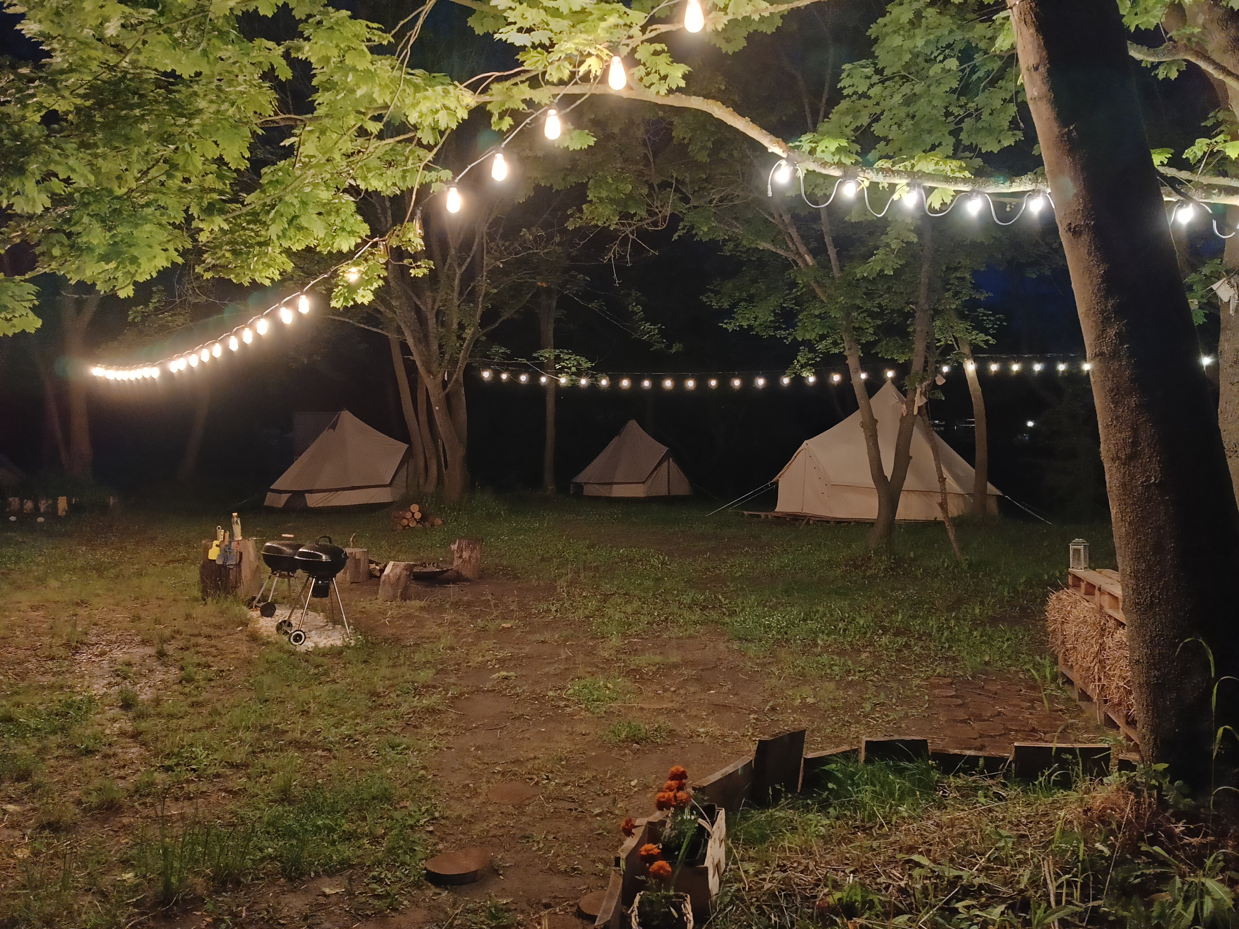 Фото 1000 Звёзд