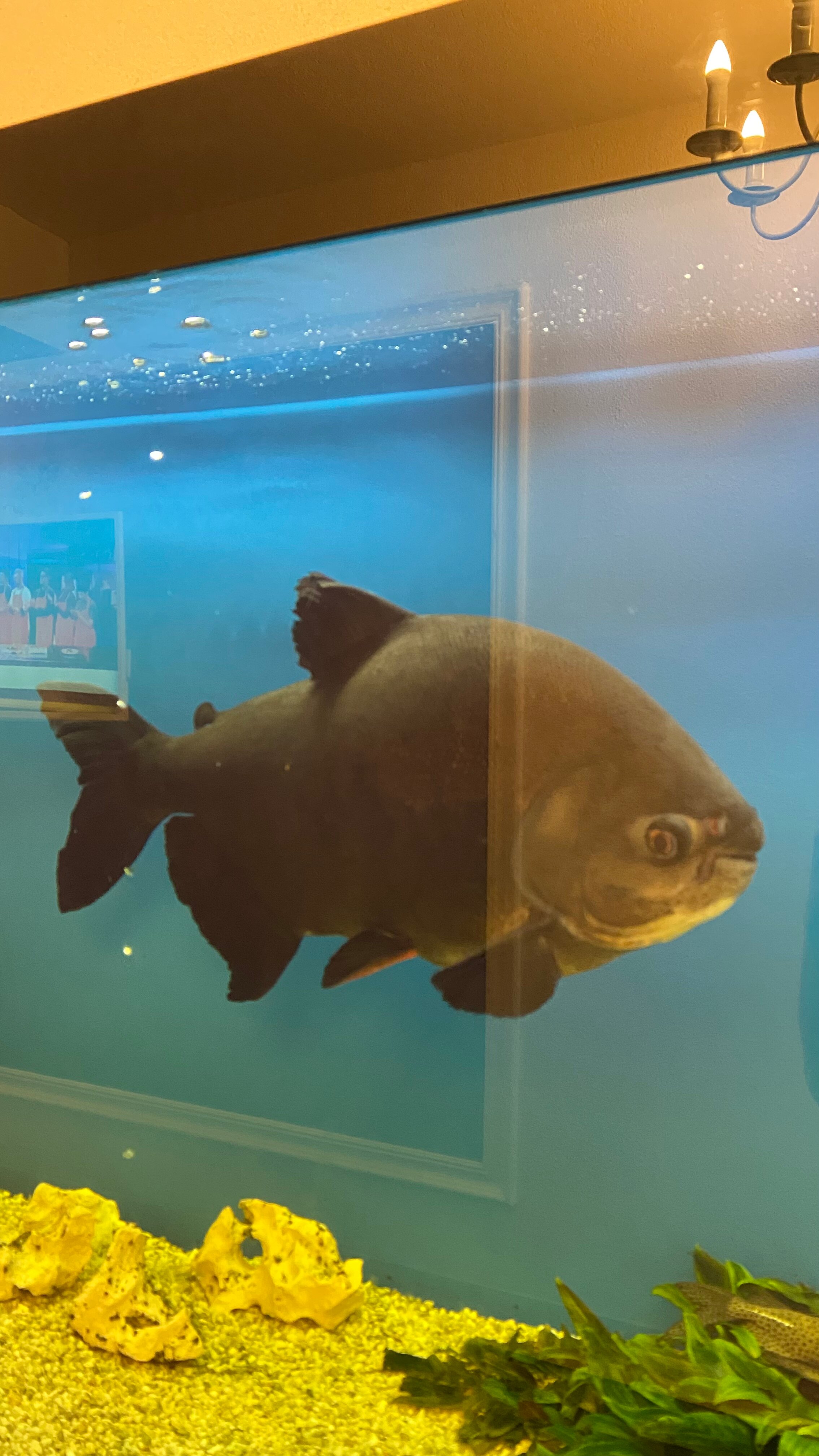 Фото Алекс Отель