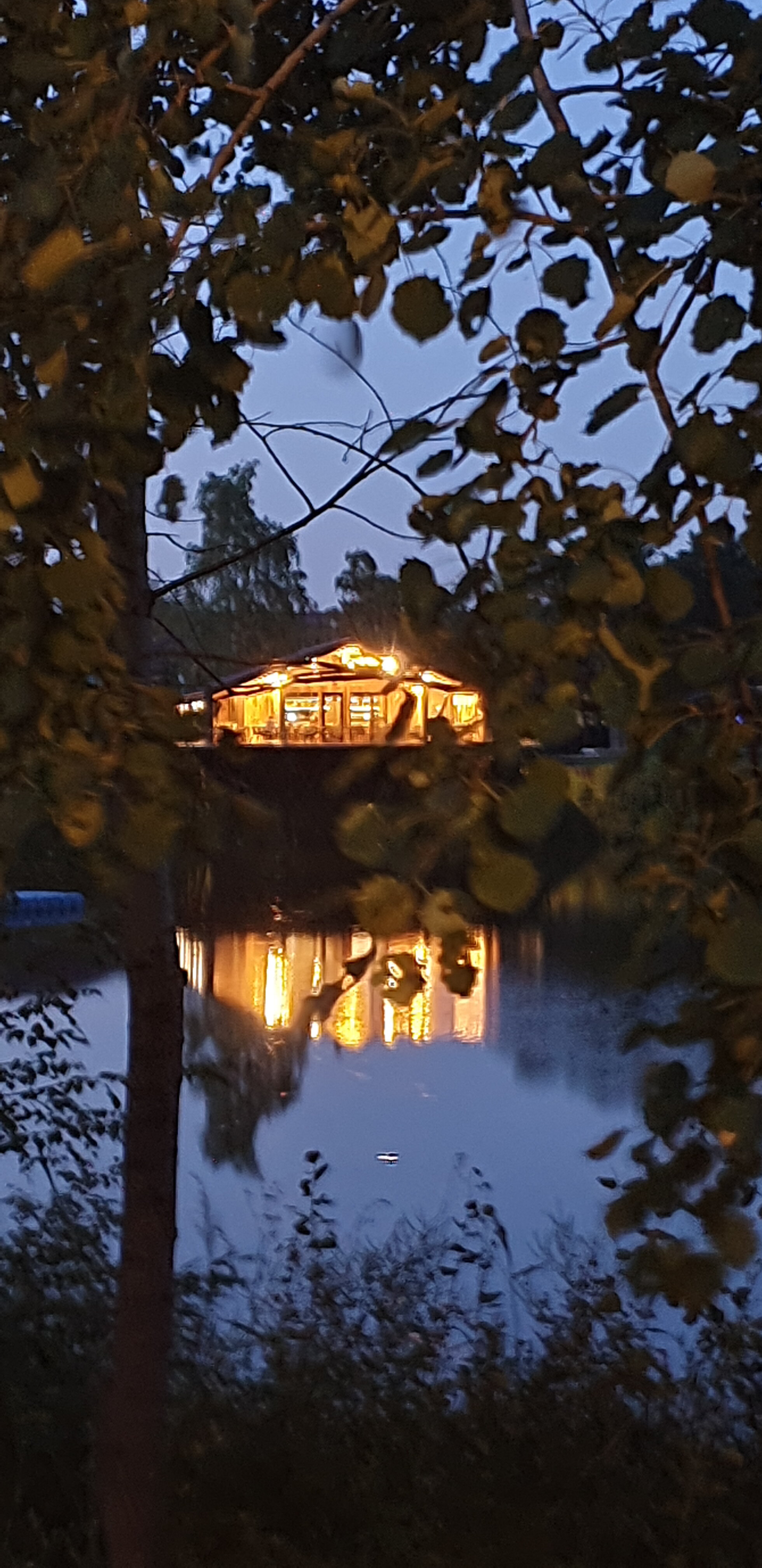 Фото Wood Wood Wood