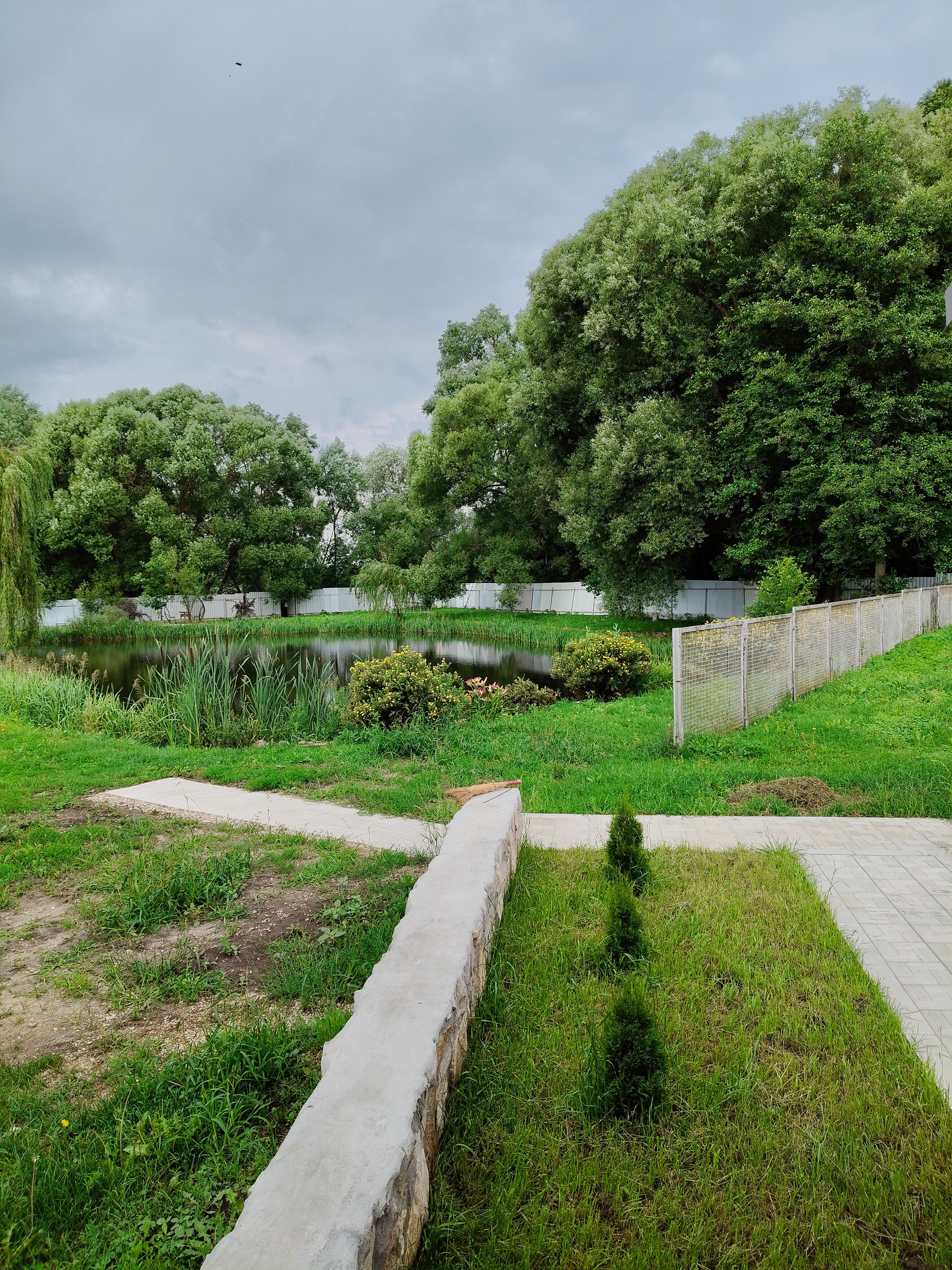 Фото Лесное Озеро