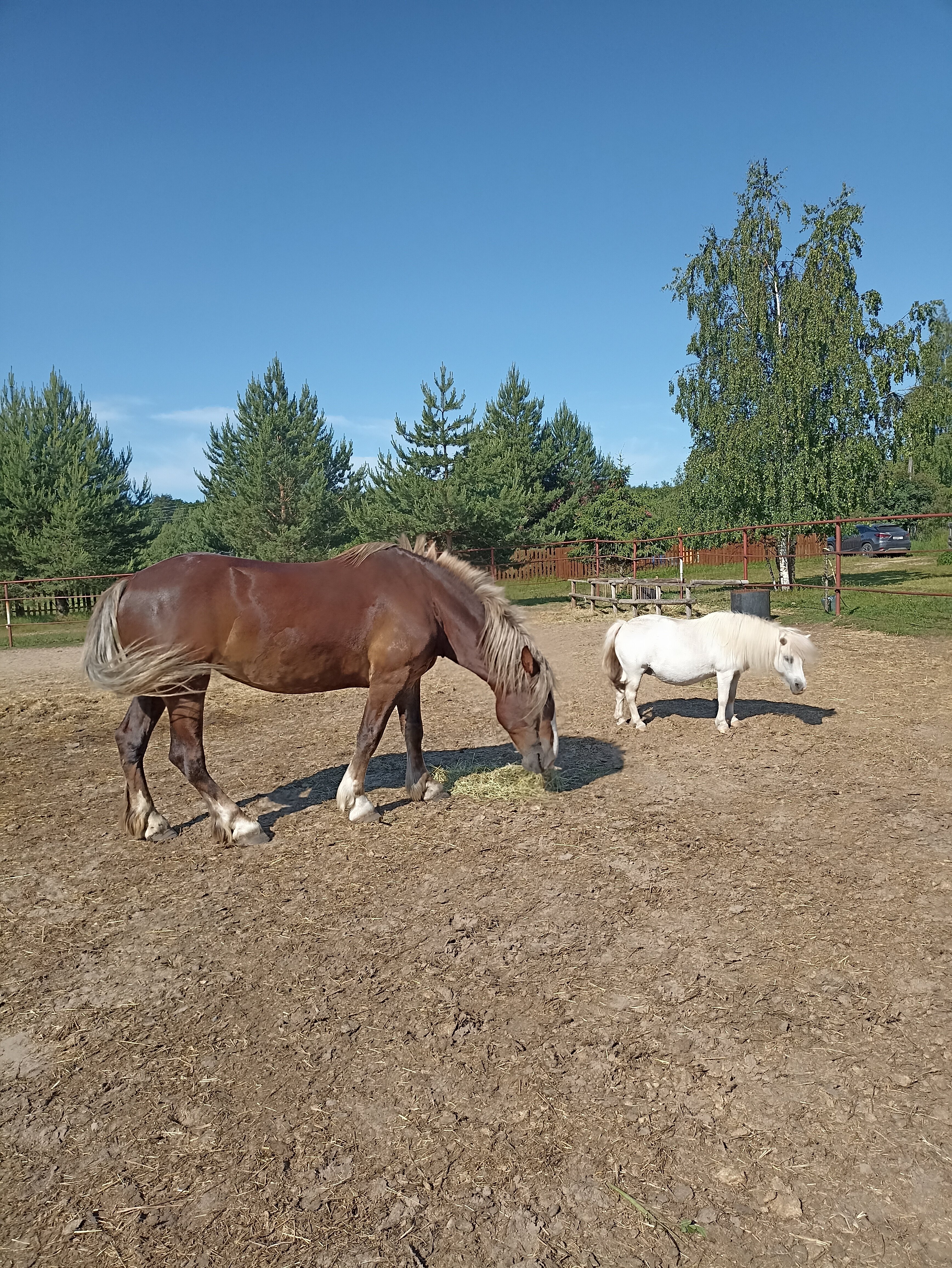 Фото Экопарк Акулово