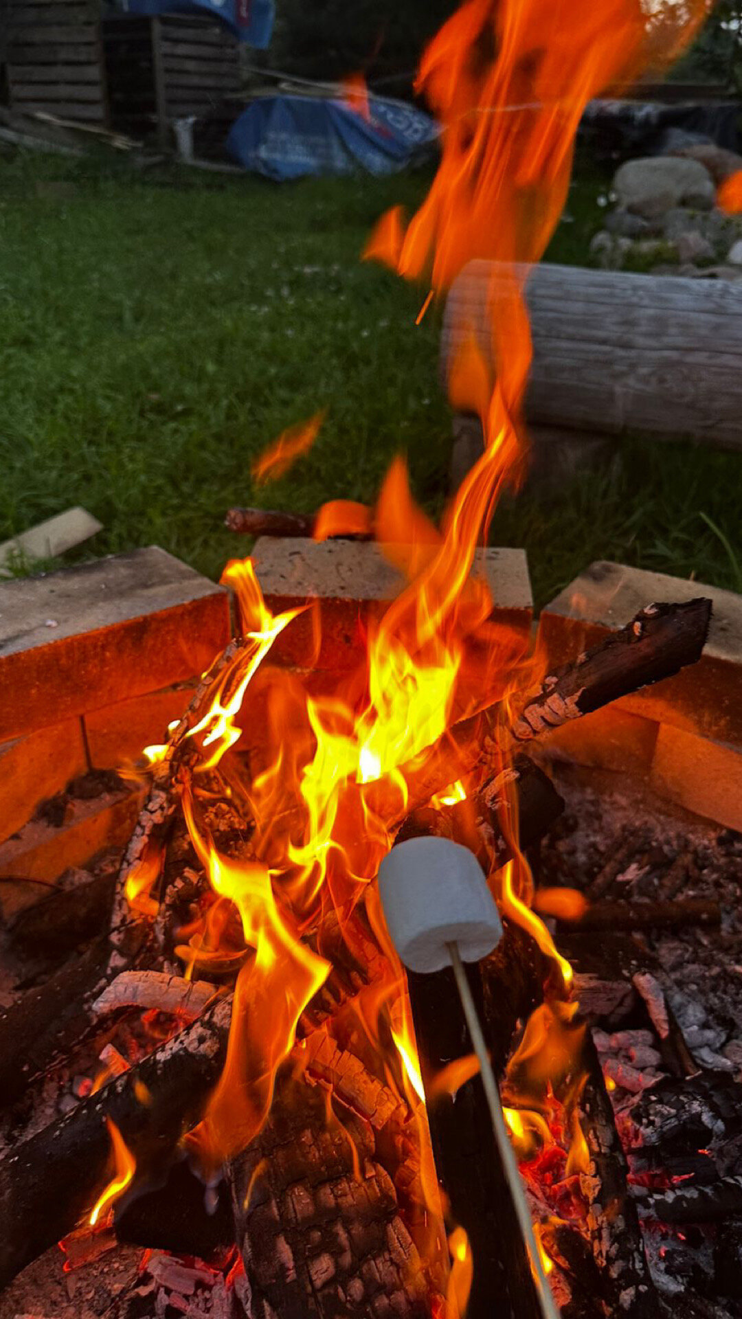 Фото Молли Хоум